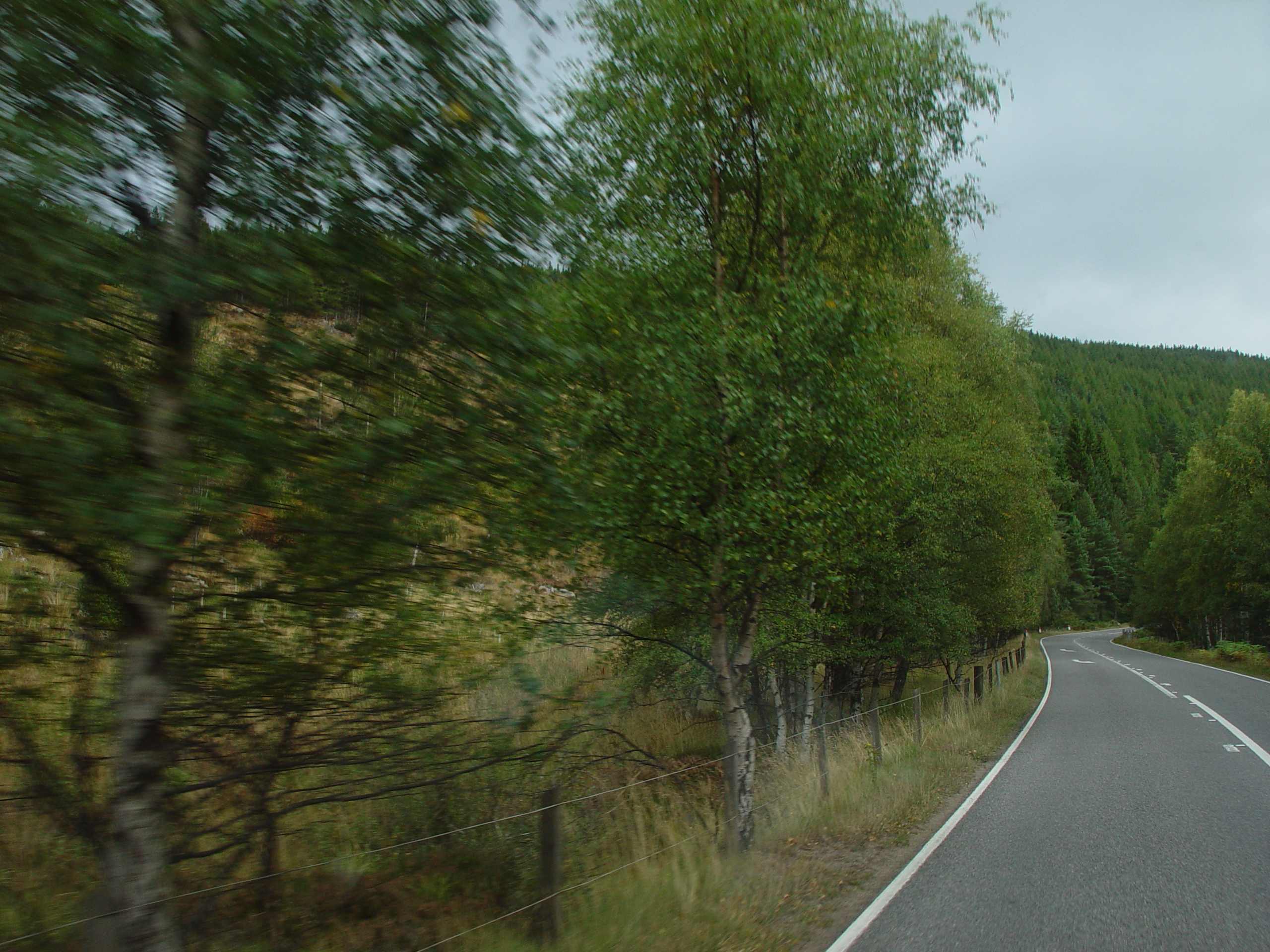 Europe Trip 2005 - Scotland Day 5 (Clunie Lodge (Braemar), Braemar Castle, Glenbuchat Castle, Scottish Highland Cows)