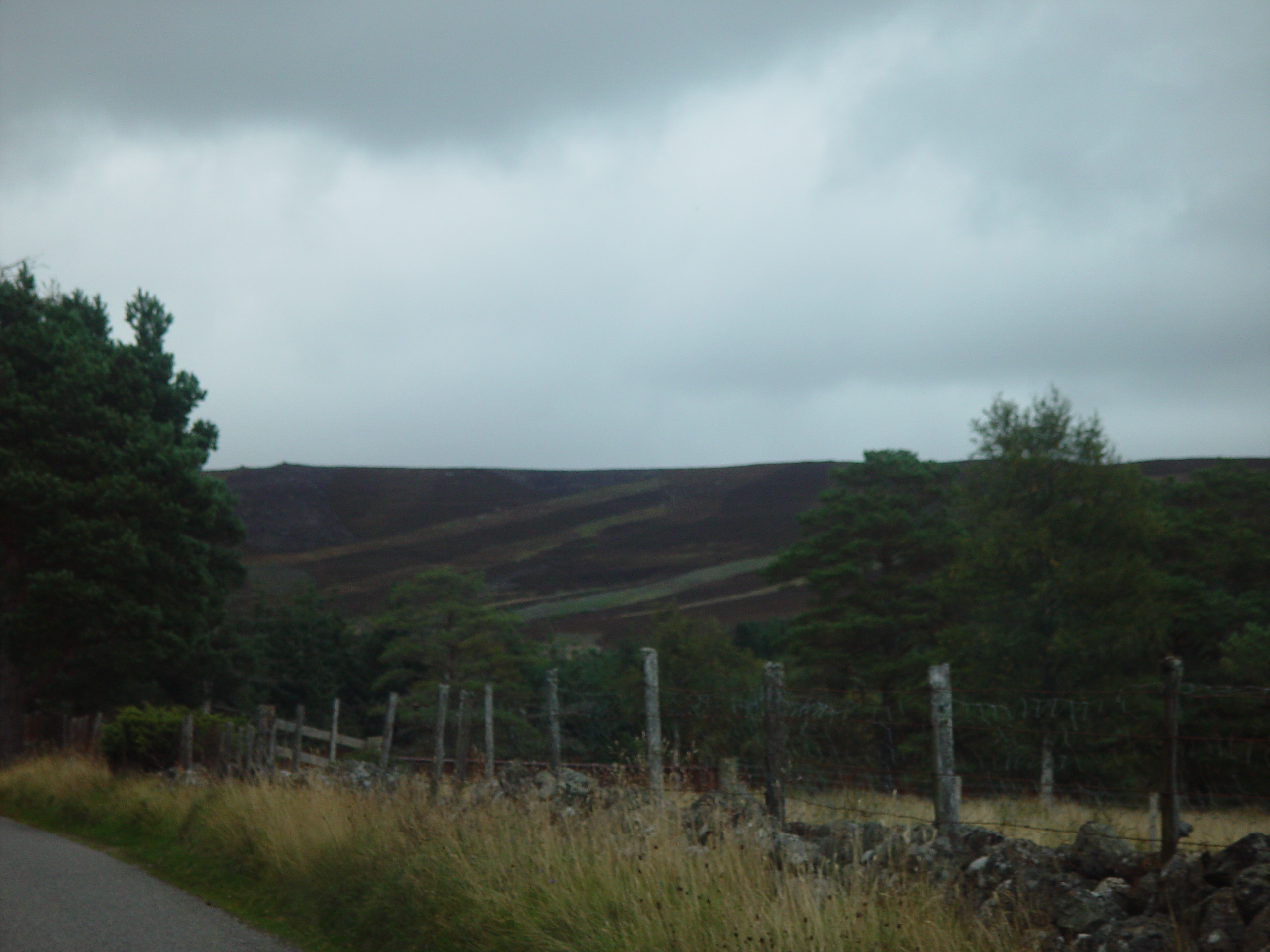 Europe Trip 2005 - Scotland Day 5 (Clunie Lodge (Braemar), Braemar Castle, Glenbuchat Castle, Scottish Highland Cows)