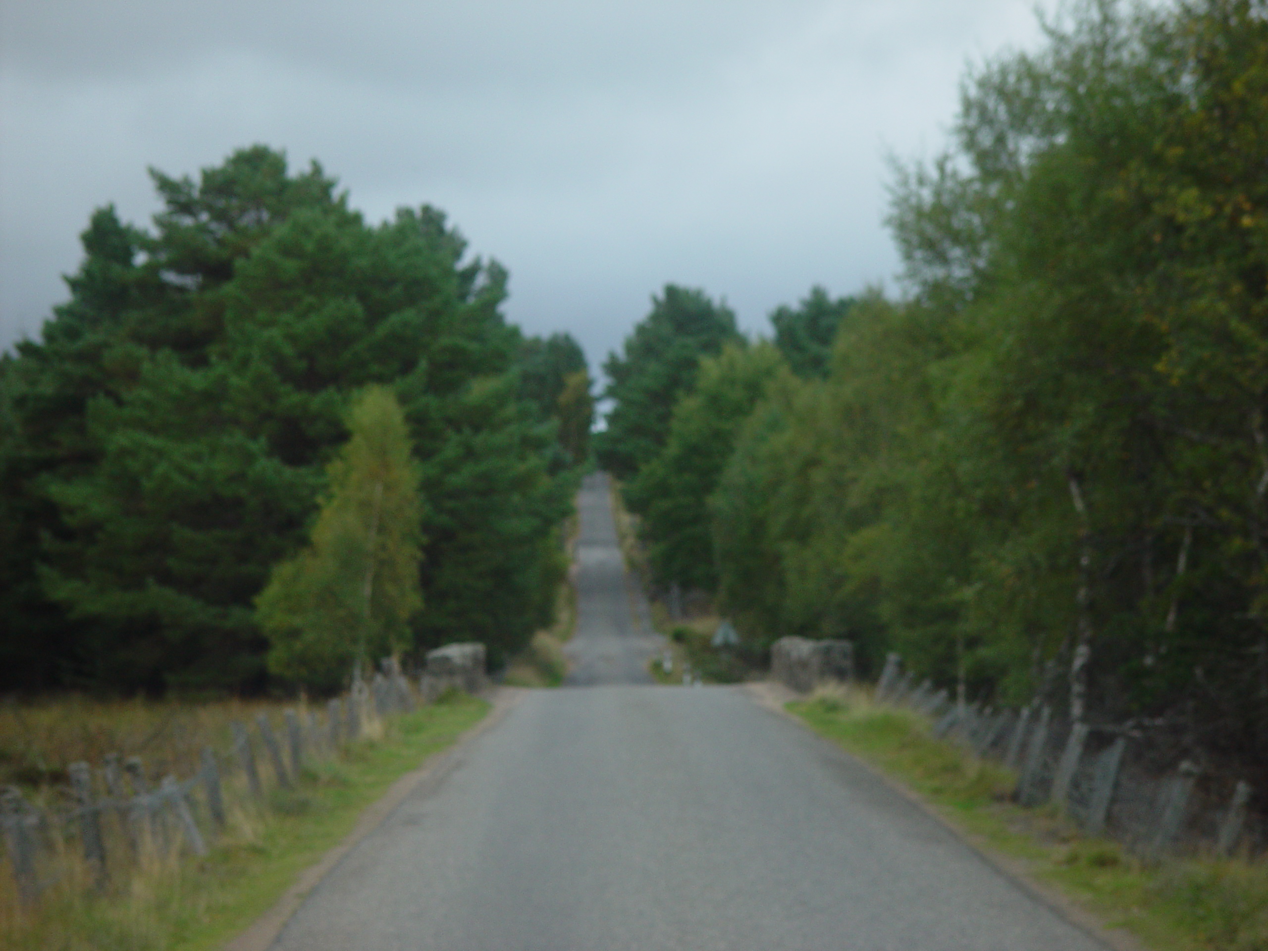 Europe Trip 2005 - Scotland Day 5 (Clunie Lodge (Braemar), Braemar Castle, Glenbuchat Castle, Scottish Highland Cows)