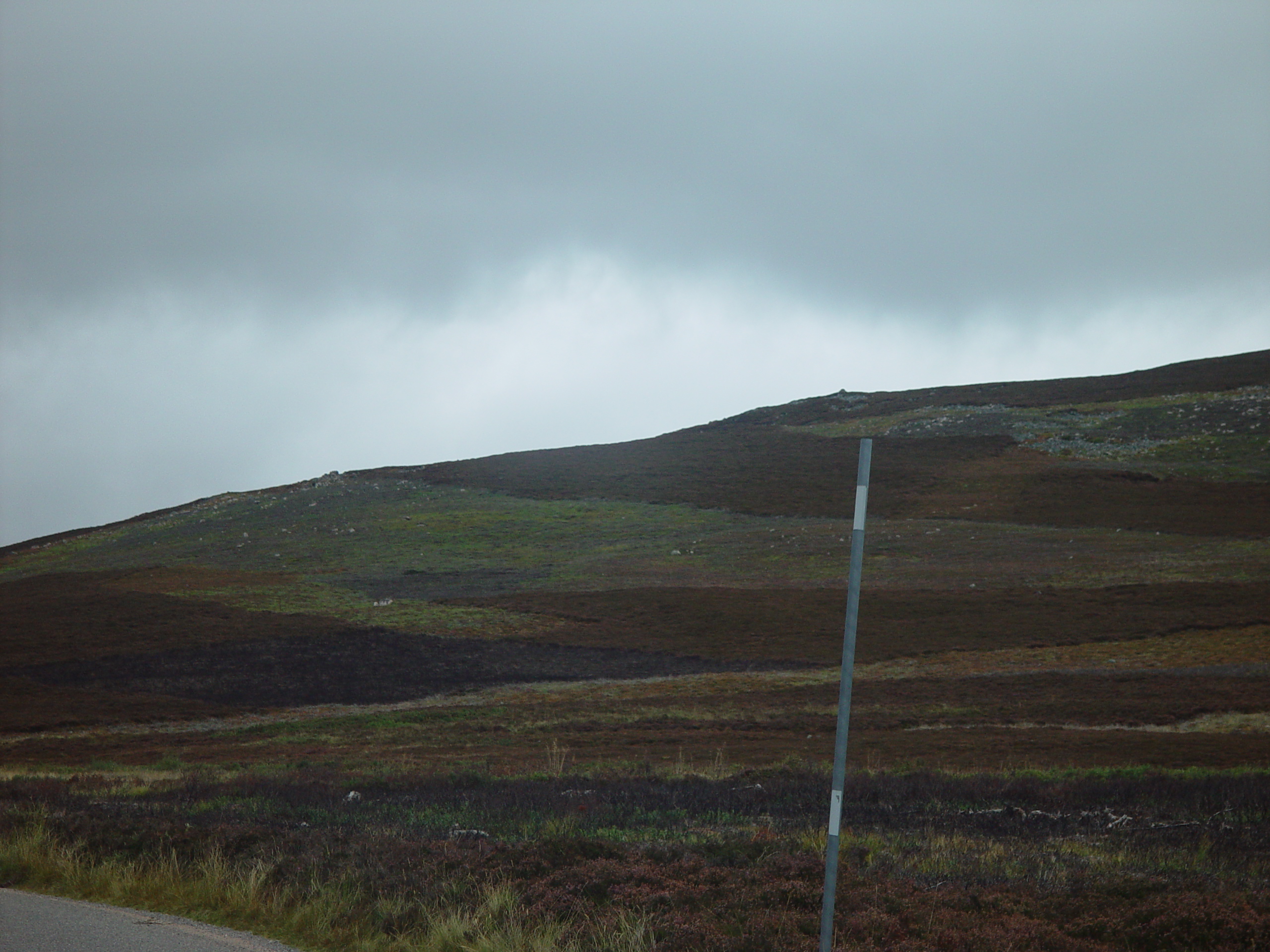 Europe Trip 2005 - Scotland Day 5 (Clunie Lodge (Braemar), Braemar Castle, Glenbuchat Castle, Scottish Highland Cows)