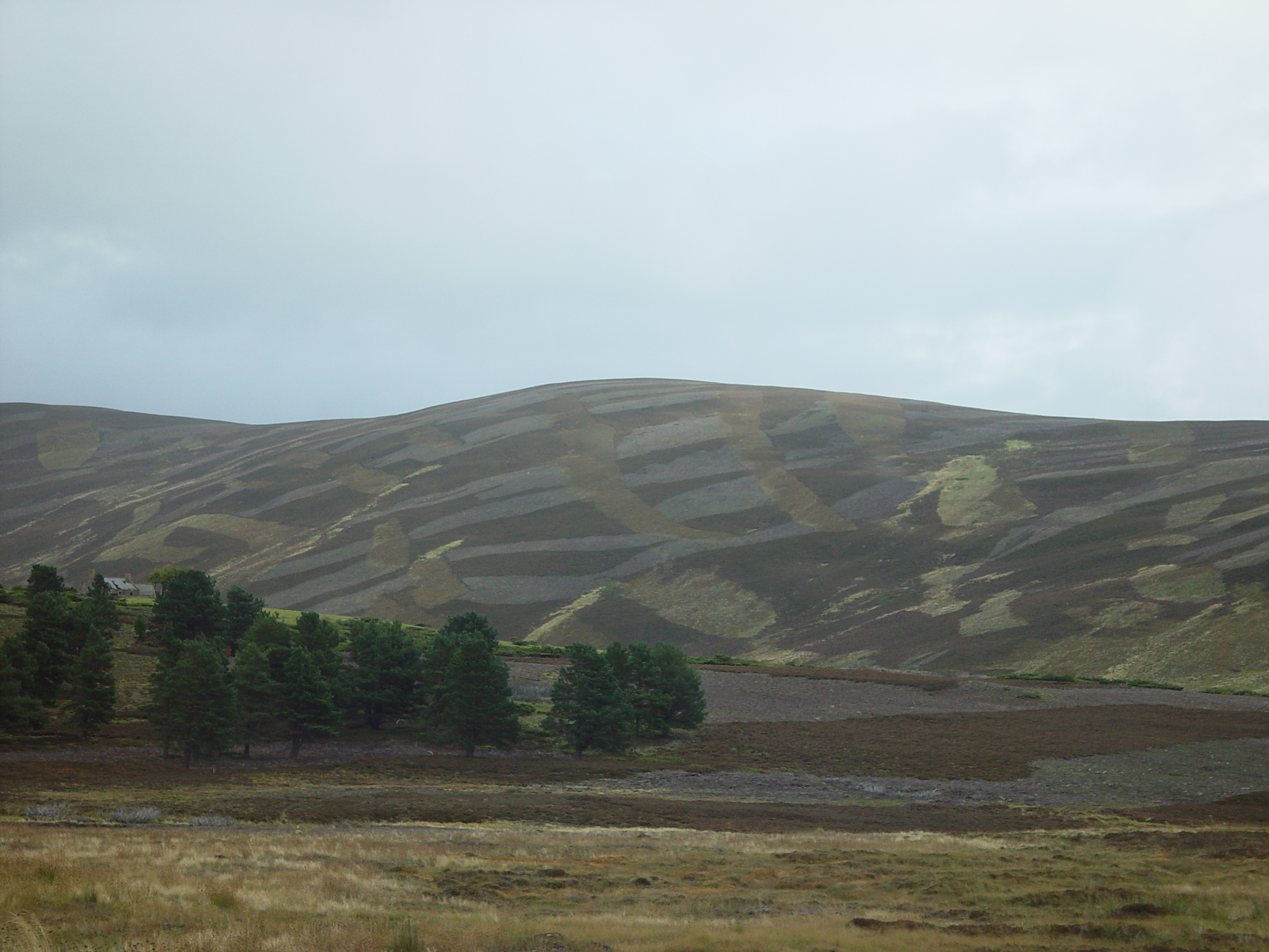 Europe Trip 2005 - Scotland Day 5 (Clunie Lodge (Braemar), Braemar Castle, Glenbuchat Castle, Scottish Highland Cows)