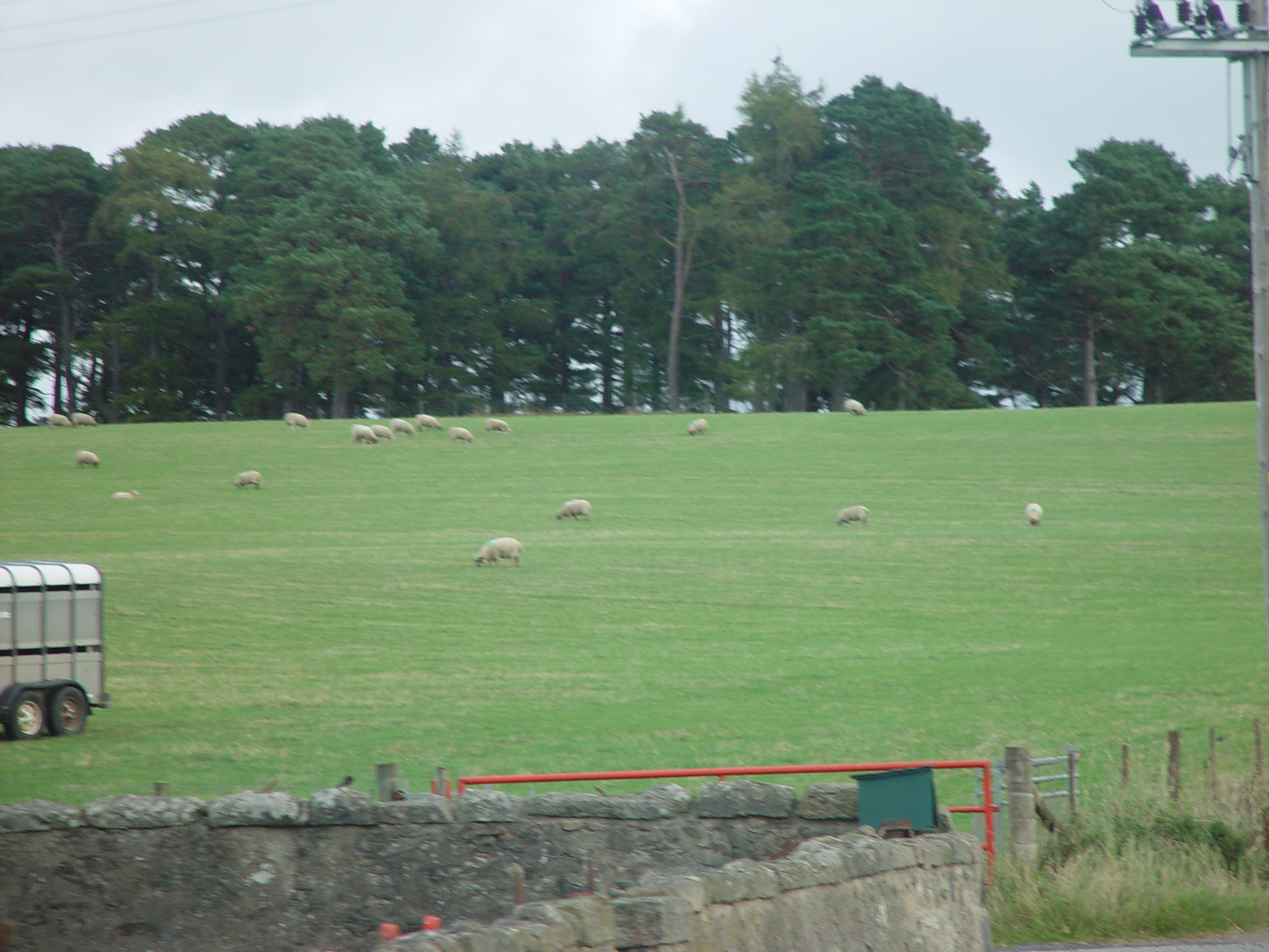 Europe Trip 2005 - Scotland Day 5 (Clunie Lodge (Braemar), Braemar Castle, Glenbuchat Castle, Scottish Highland Cows)