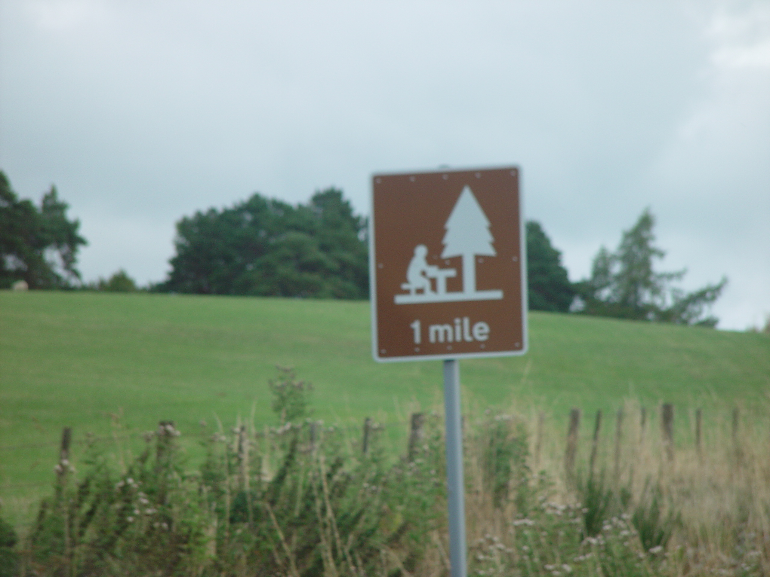 Europe Trip 2005 - Scotland Day 5 (Clunie Lodge (Braemar), Braemar Castle, Glenbuchat Castle, Scottish Highland Cows)