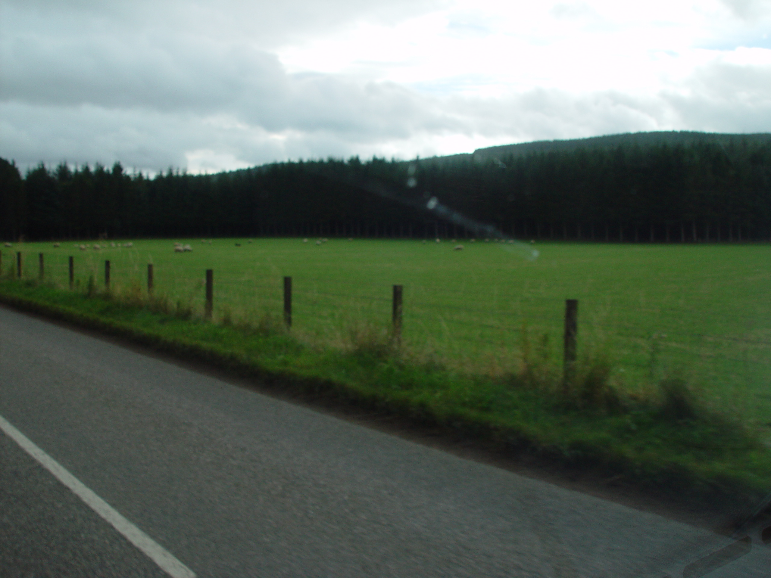 Europe Trip 2005 - Scotland Day 5 (Clunie Lodge (Braemar), Braemar Castle, Glenbuchat Castle, Scottish Highland Cows)