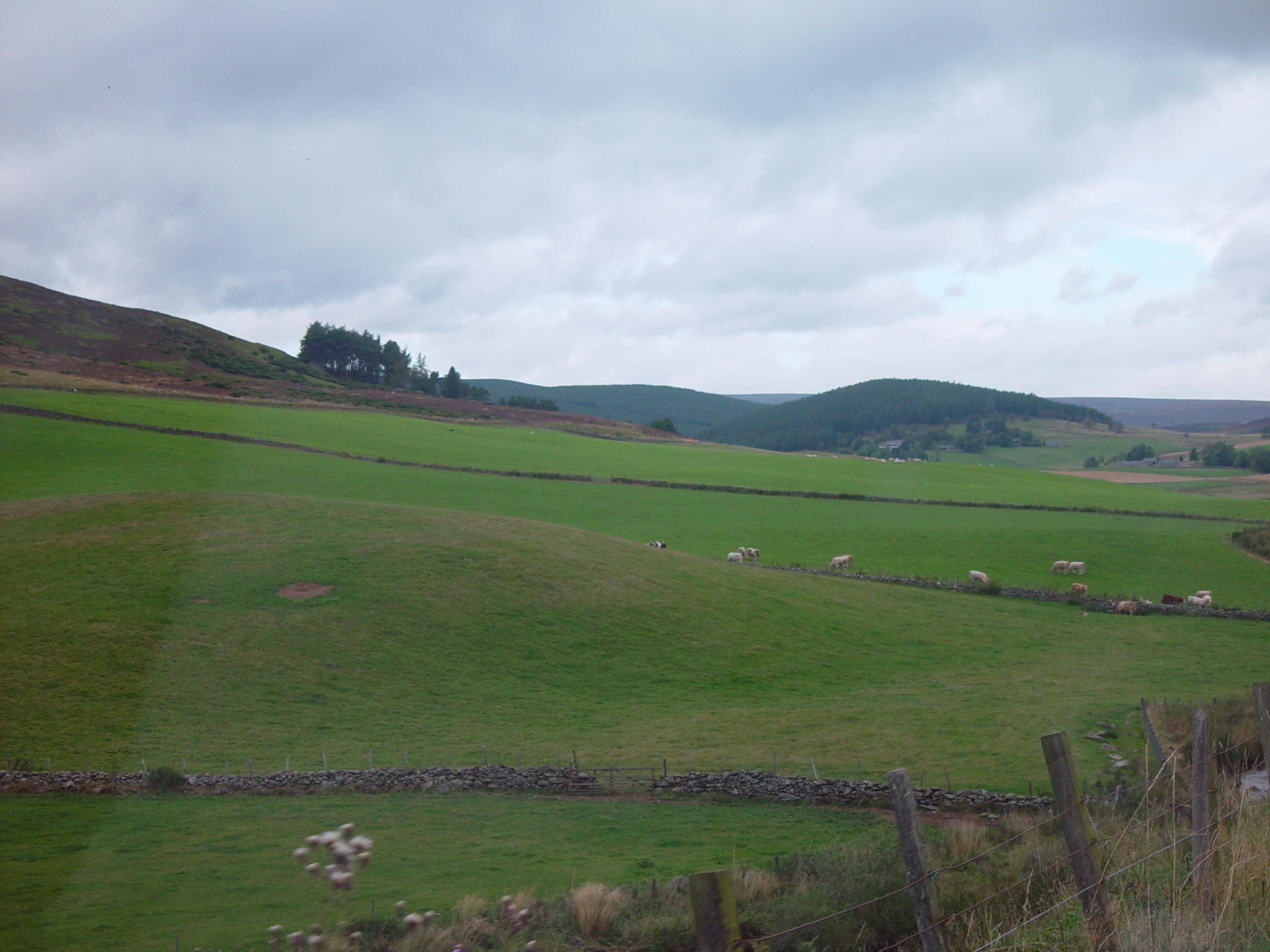 Europe Trip 2005 - Scotland Day 5 (Clunie Lodge (Braemar), Braemar Castle, Glenbuchat Castle, Scottish Highland Cows)