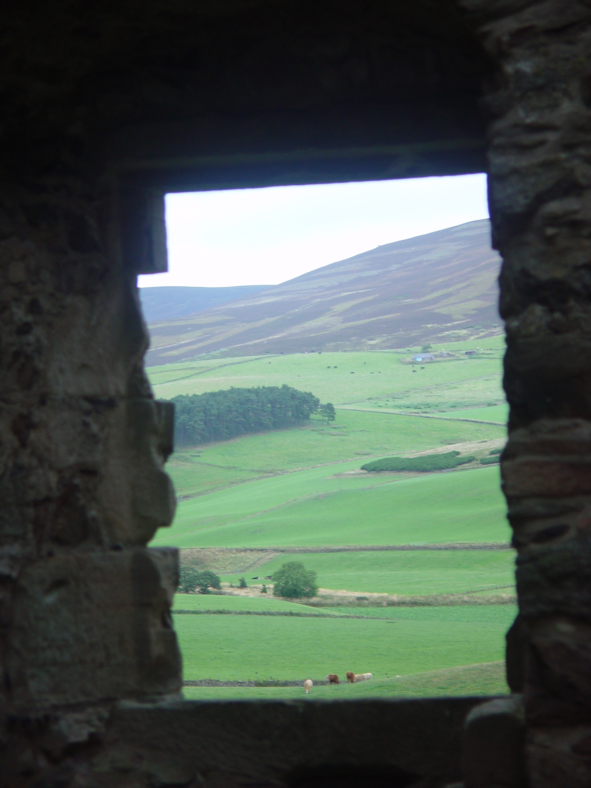 Europe Trip 2005 - Scotland Day 5 (Clunie Lodge (Braemar), Braemar Castle, Glenbuchat Castle, Scottish Highland Cows)