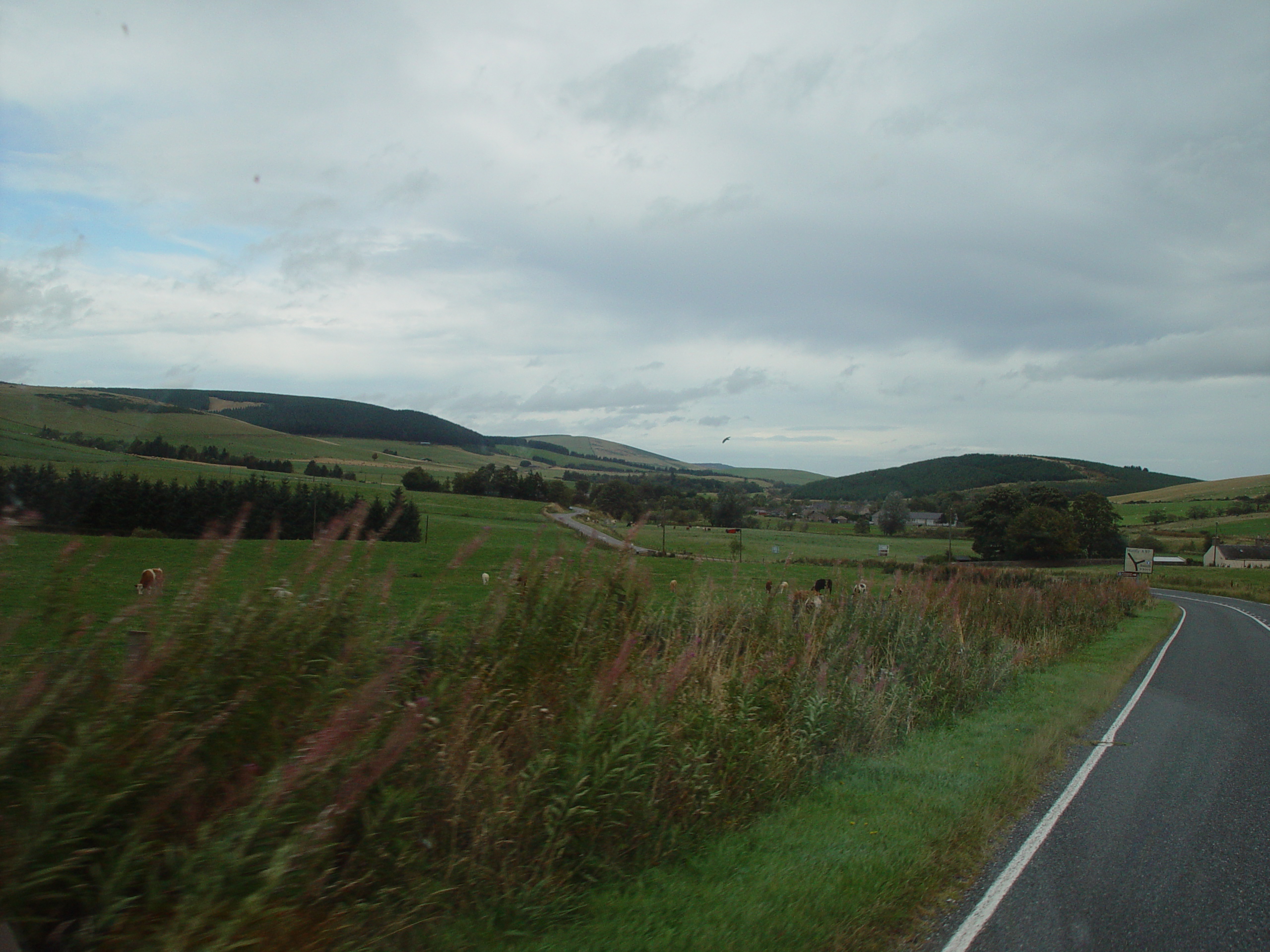 Europe Trip 2005 - Scotland Day 5 (Clunie Lodge (Braemar), Braemar Castle, Glenbuchat Castle, Scottish Highland Cows)