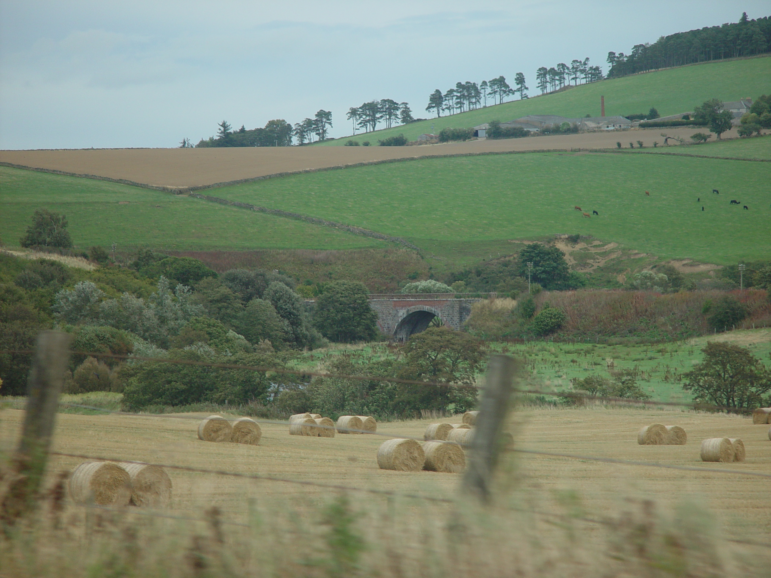 Europe Trip 2005 - Scotland Day 5 (Clunie Lodge (Braemar), Braemar Castle, Glenbuchat Castle, Scottish Highland Cows)