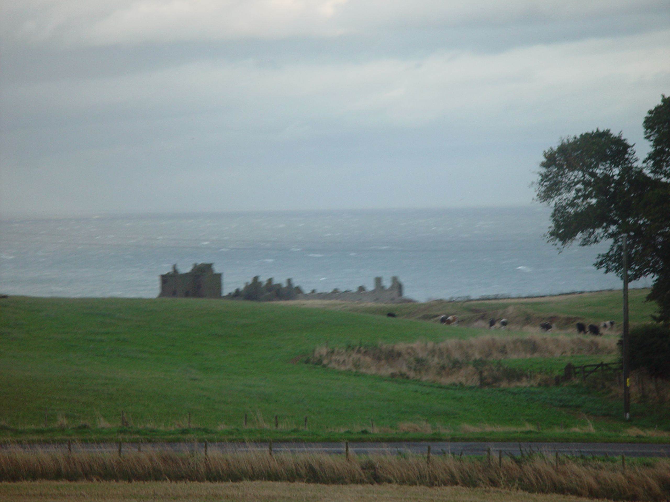 Europe Trip 2005 - Scotland Day 5 (Dunnottar Castle, Dundee: The Scott Boys (Michael, Wayne, & Lee), Betty & Jean))