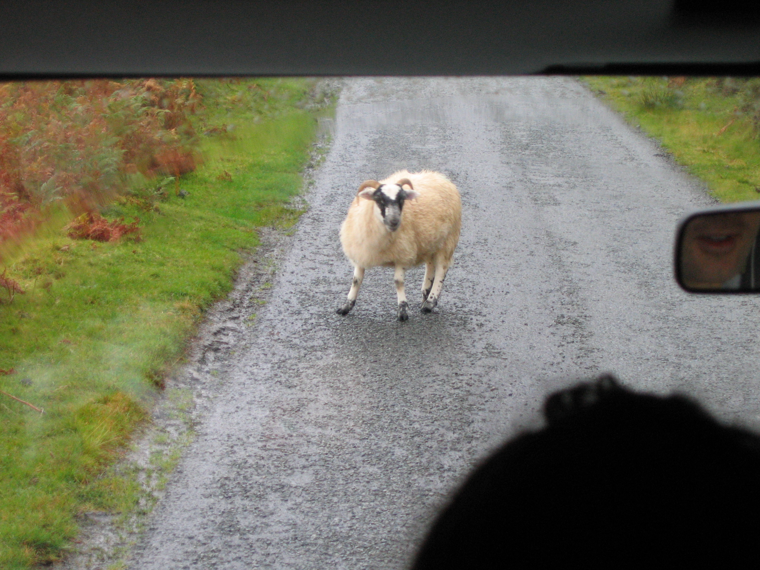 Europe Trip 2005 - Scotland Day 4 (The Isle of Skye: The Old Man of Storr, Kilt Rock, Uig)