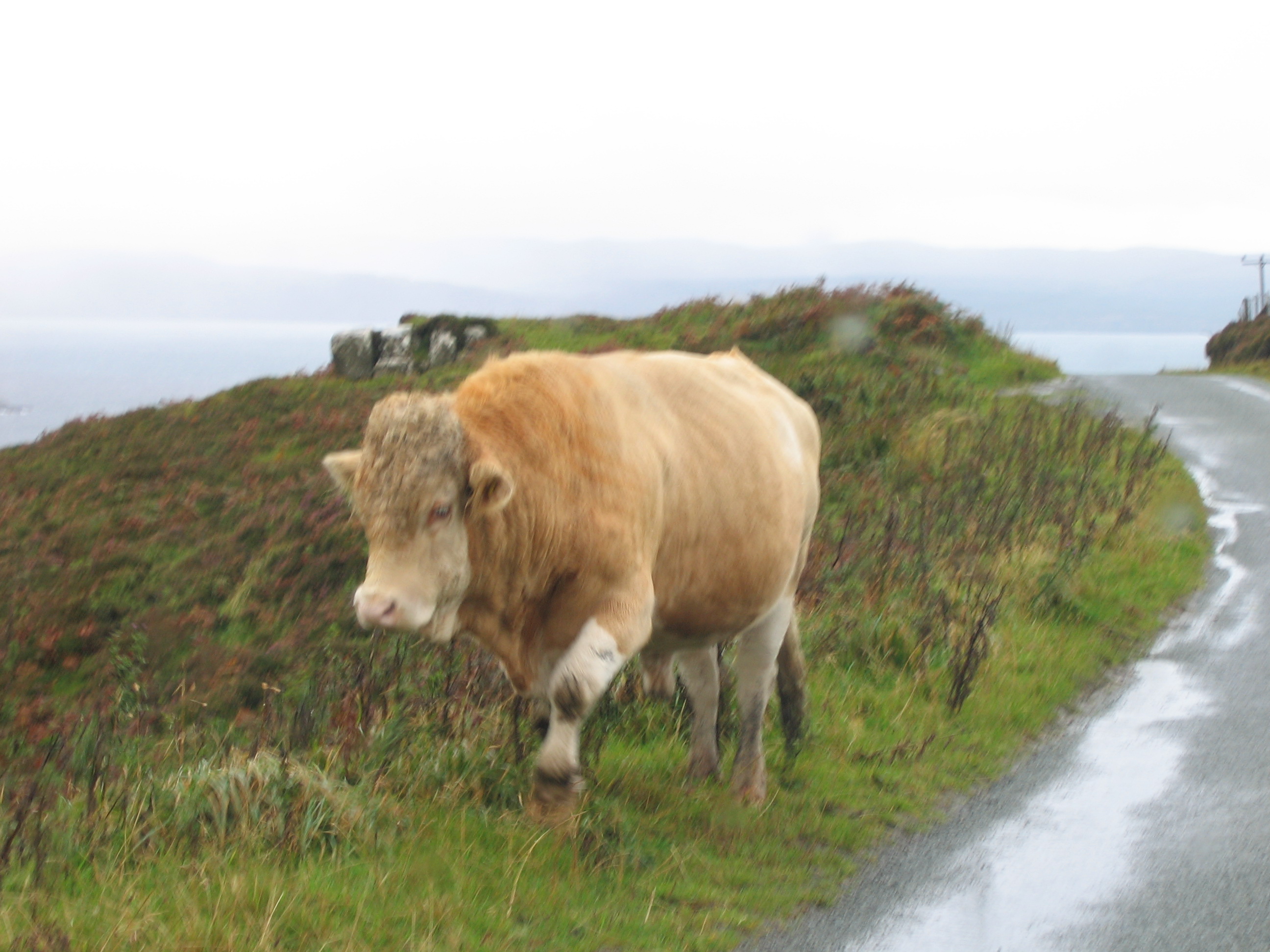 Europe Trip 2005 - Scotland Day 4 (The Isle of Skye: The Old Man of Storr, Kilt Rock, Uig)