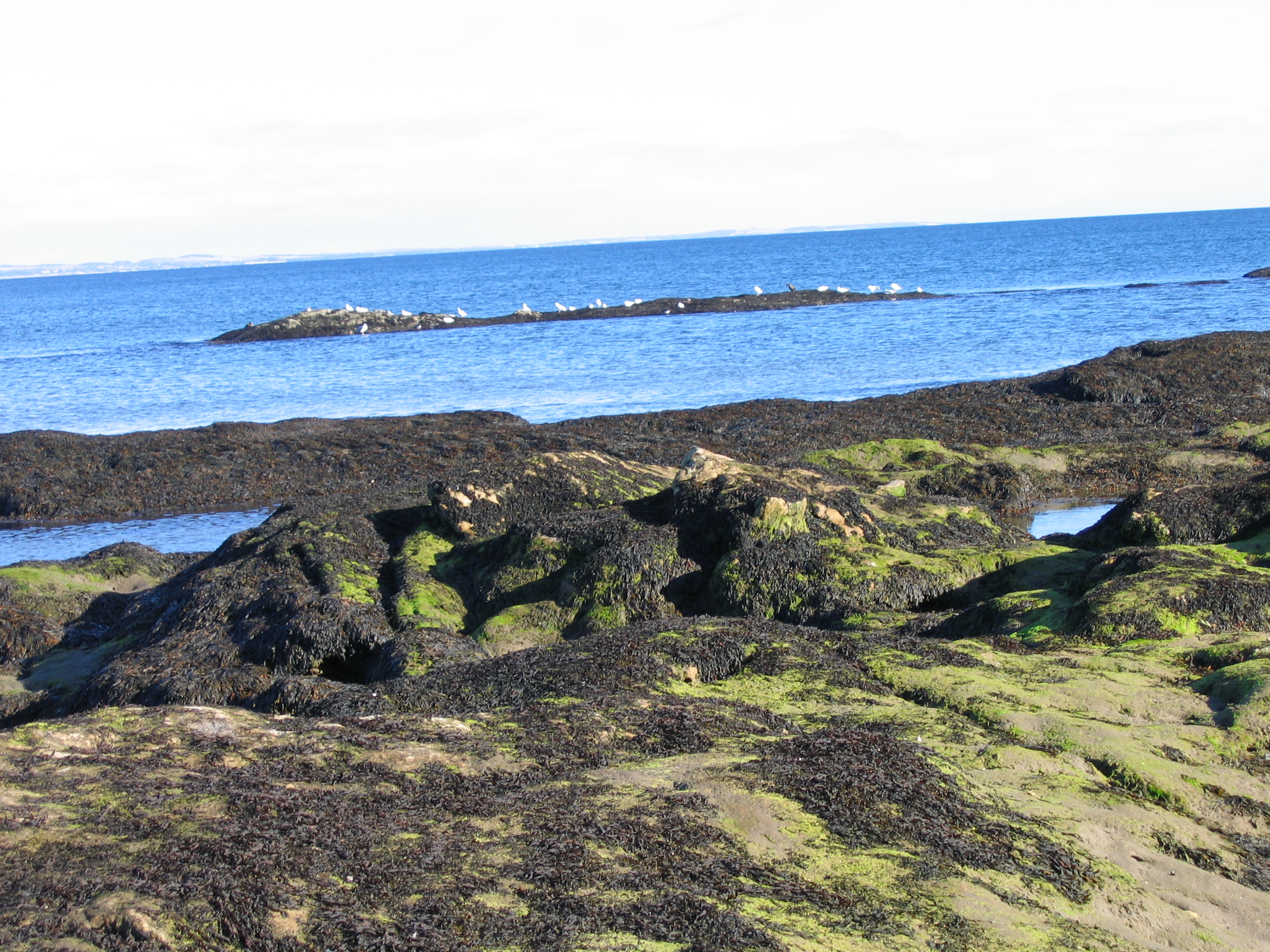 Europe Trip 2005 - Scotland Day 6 (St. Andrews: Old Course, Ahmad Rashad, Dunhill Links, St. Andrews Cathedral)