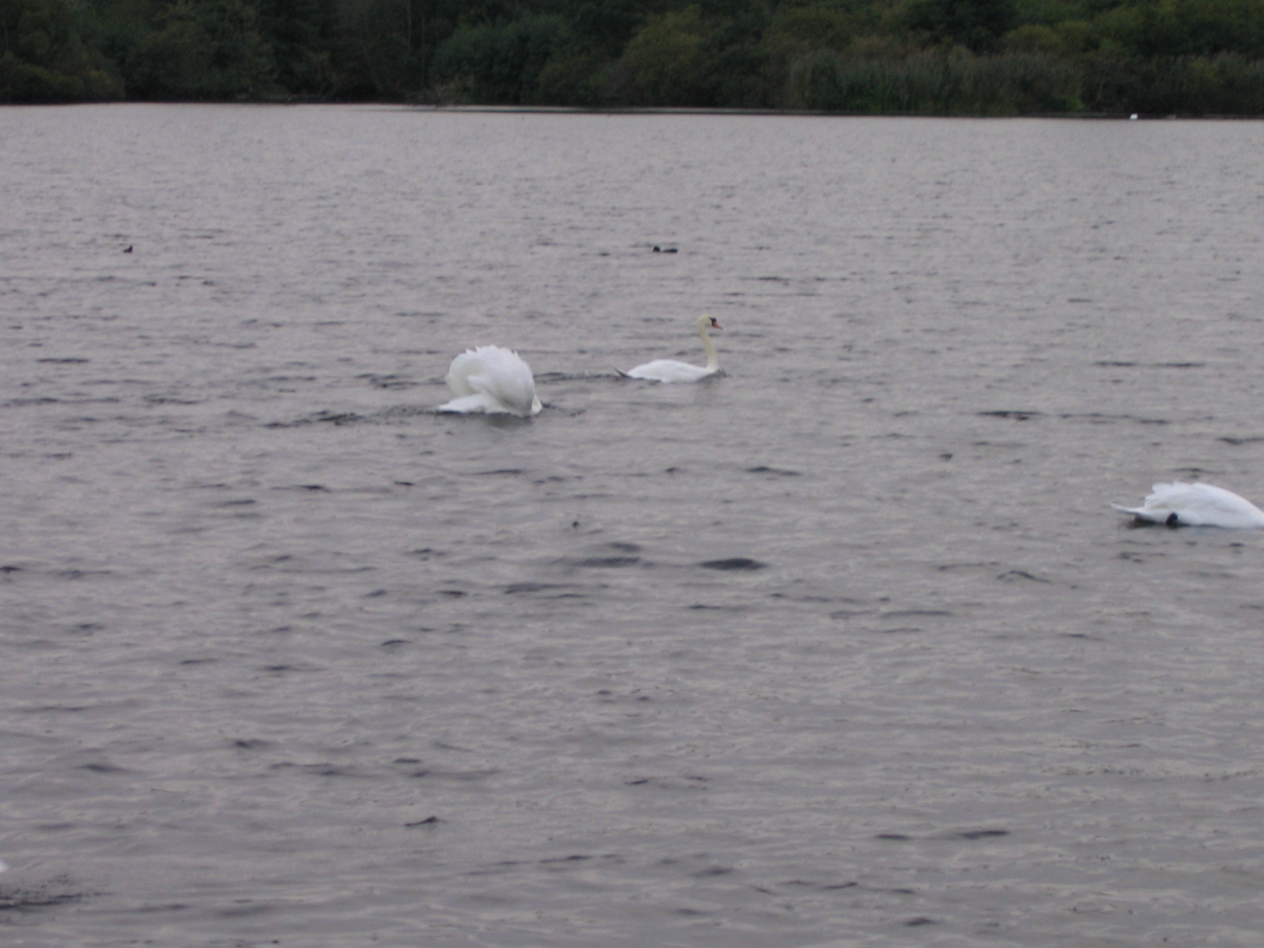 Europe Trip 2005 - Scotland Day 6 (Edinburgh: Duddingston Kirk (Whitfield Chapel), Duddingston Loch)