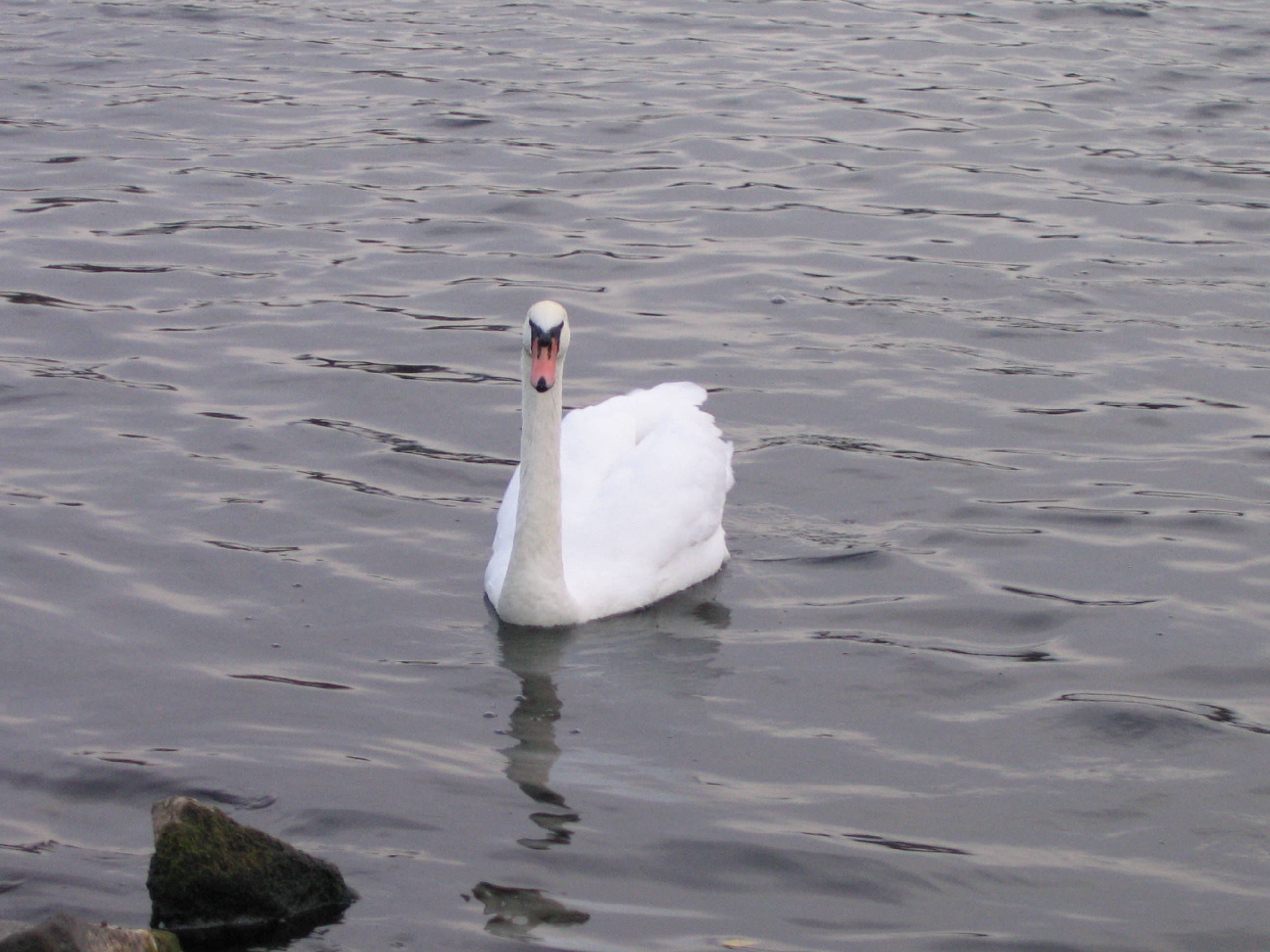 Europe Trip 2005 - Scotland Day 6 (Edinburgh: Duddingston Kirk (Whitfield Chapel), Duddingston Loch)