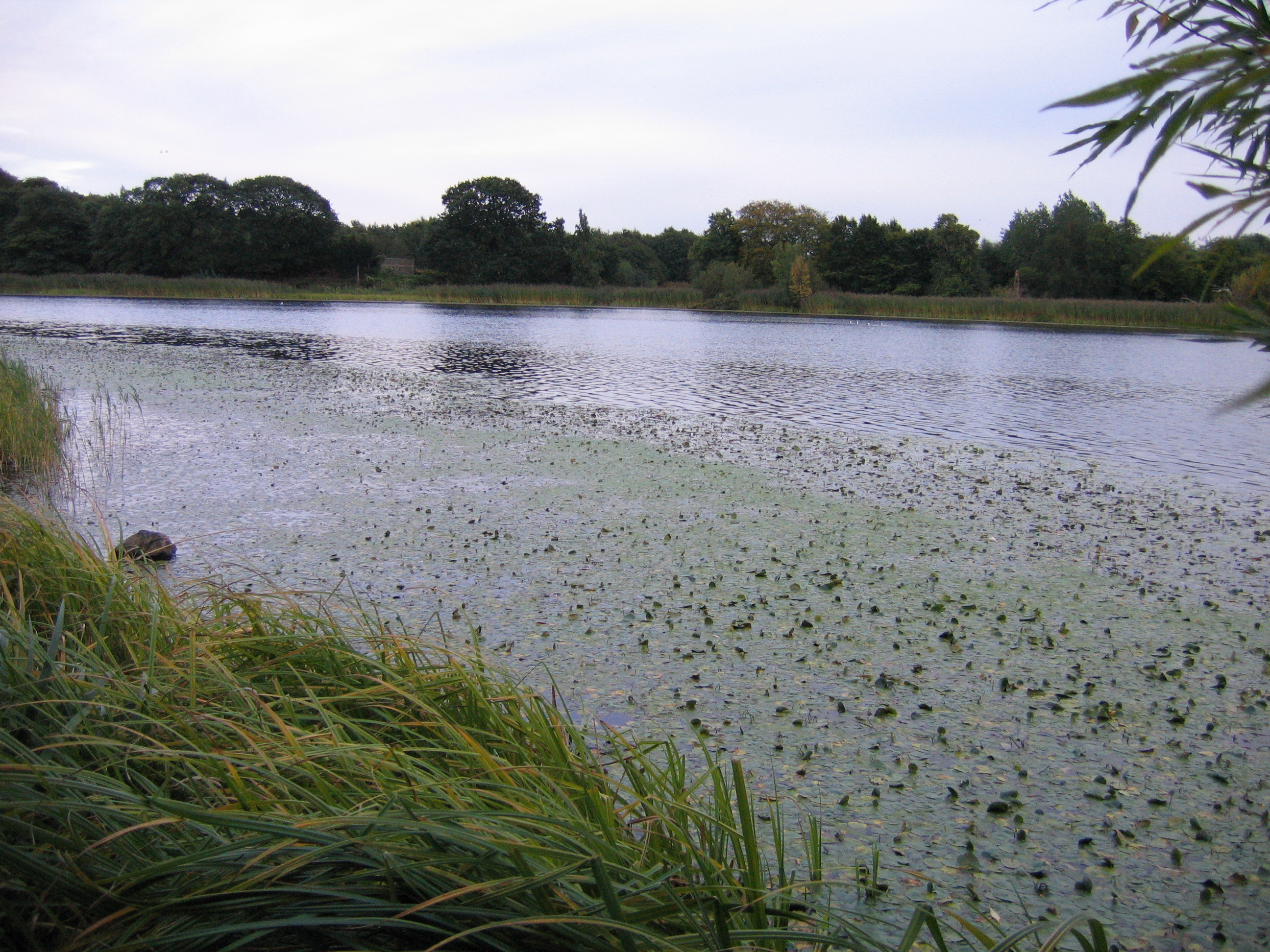 Europe Trip 2005 - Scotland Day 6 (Edinburgh: Duddingston Kirk (Whitfield Chapel), Duddingston Loch)