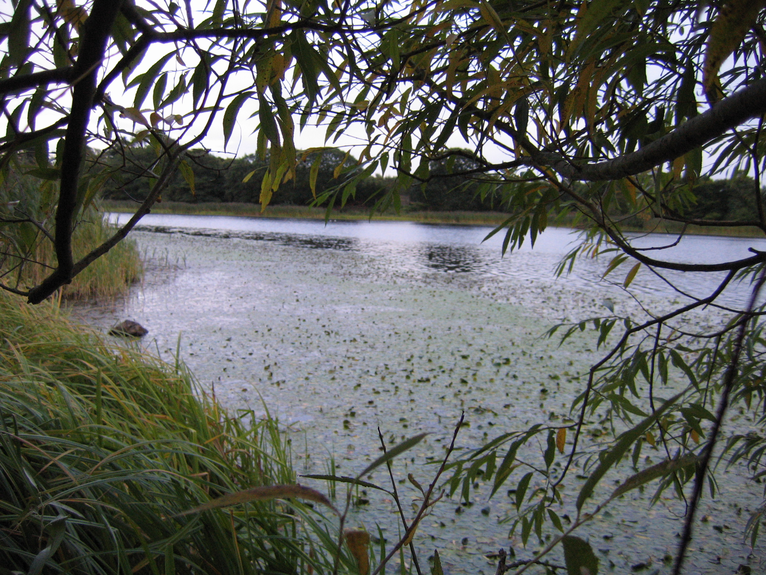 Europe Trip 2005 - Scotland Day 6 (Edinburgh: Duddingston Kirk (Whitfield Chapel), Duddingston Loch)