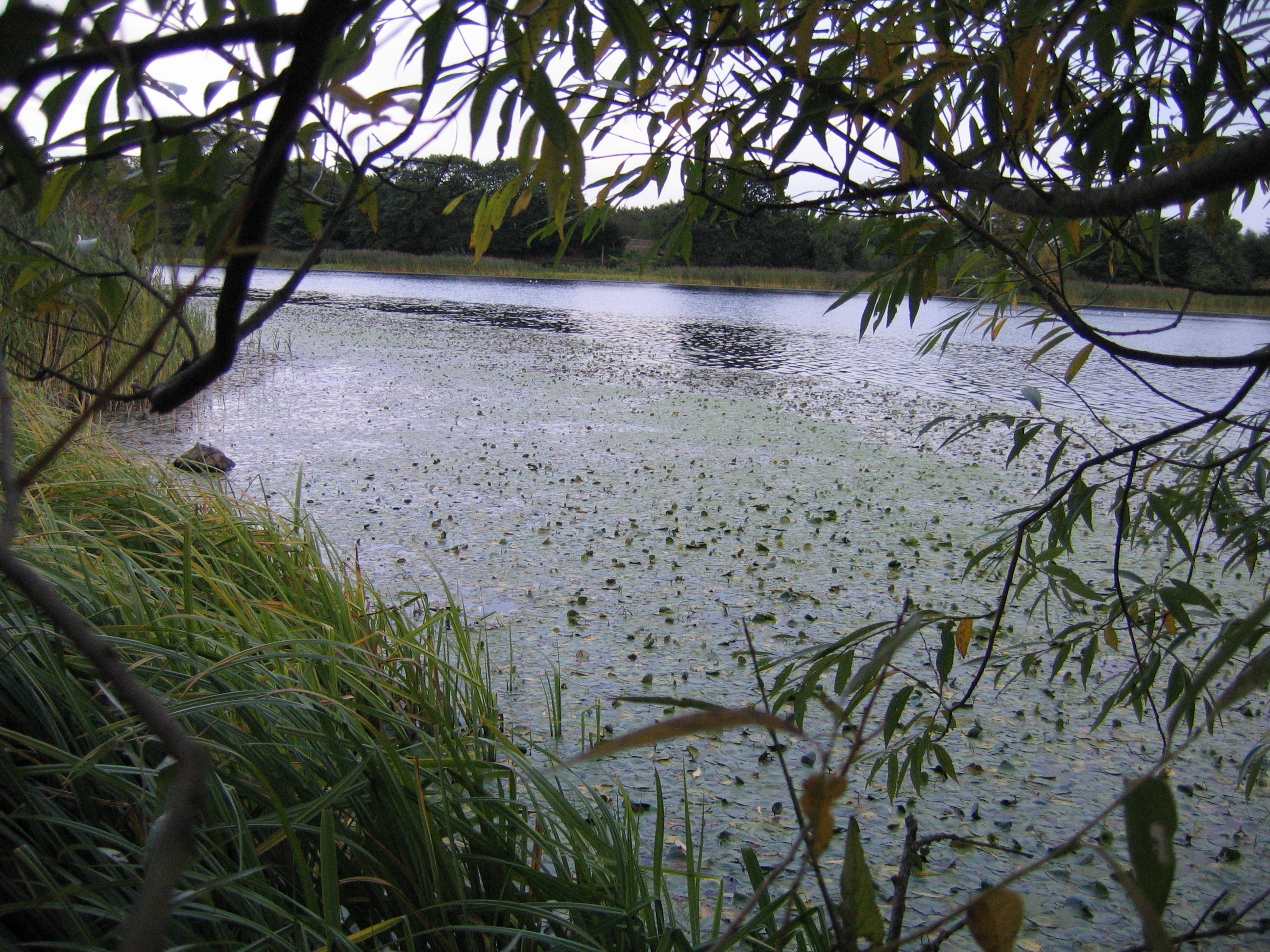 Europe Trip 2005 - Scotland Day 6 (Edinburgh: Duddingston Kirk (Whitfield Chapel), Duddingston Loch)