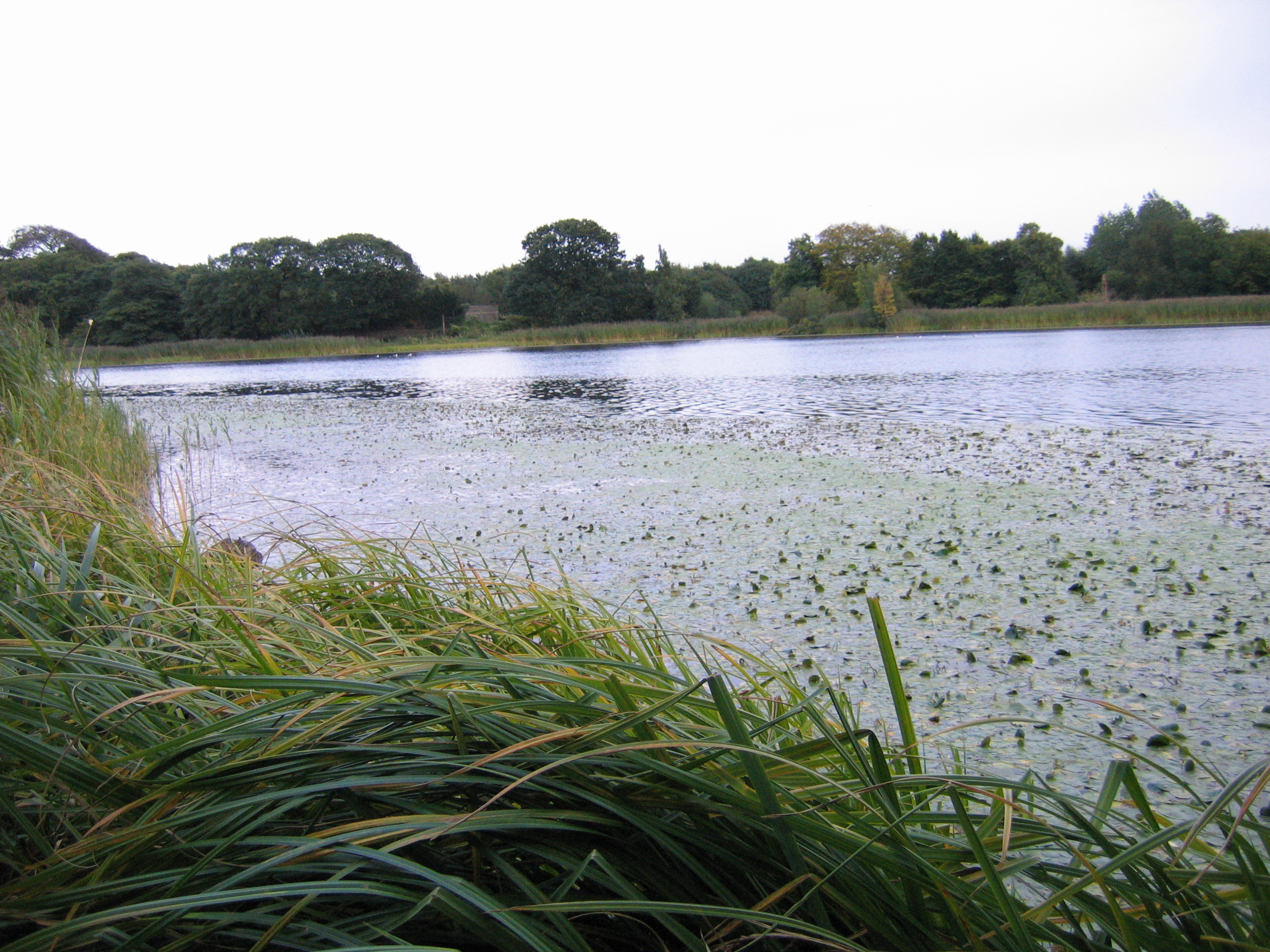 Europe Trip 2005 - Scotland Day 6 (Edinburgh: Duddingston Kirk (Whitfield Chapel), Duddingston Loch)