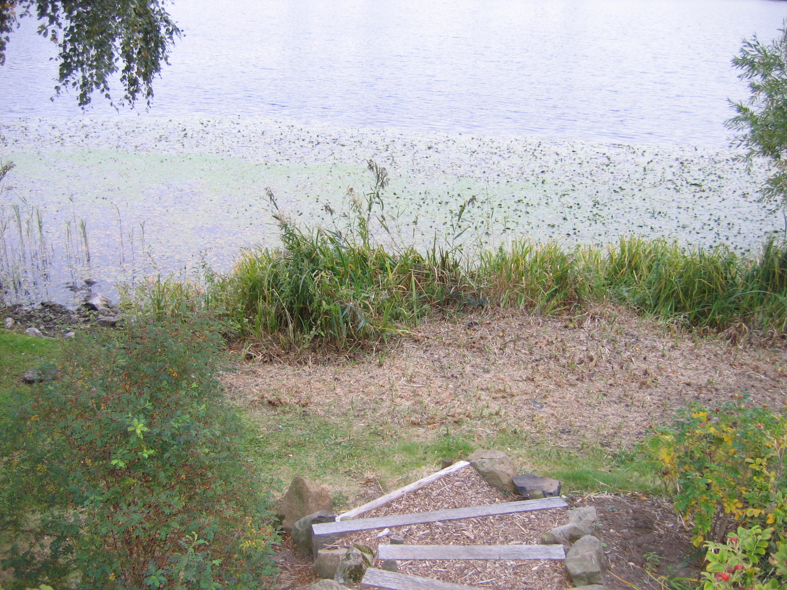 Europe Trip 2005 - Scotland Day 6 (Edinburgh: Duddingston Kirk (Whitfield Chapel), Duddingston Loch)