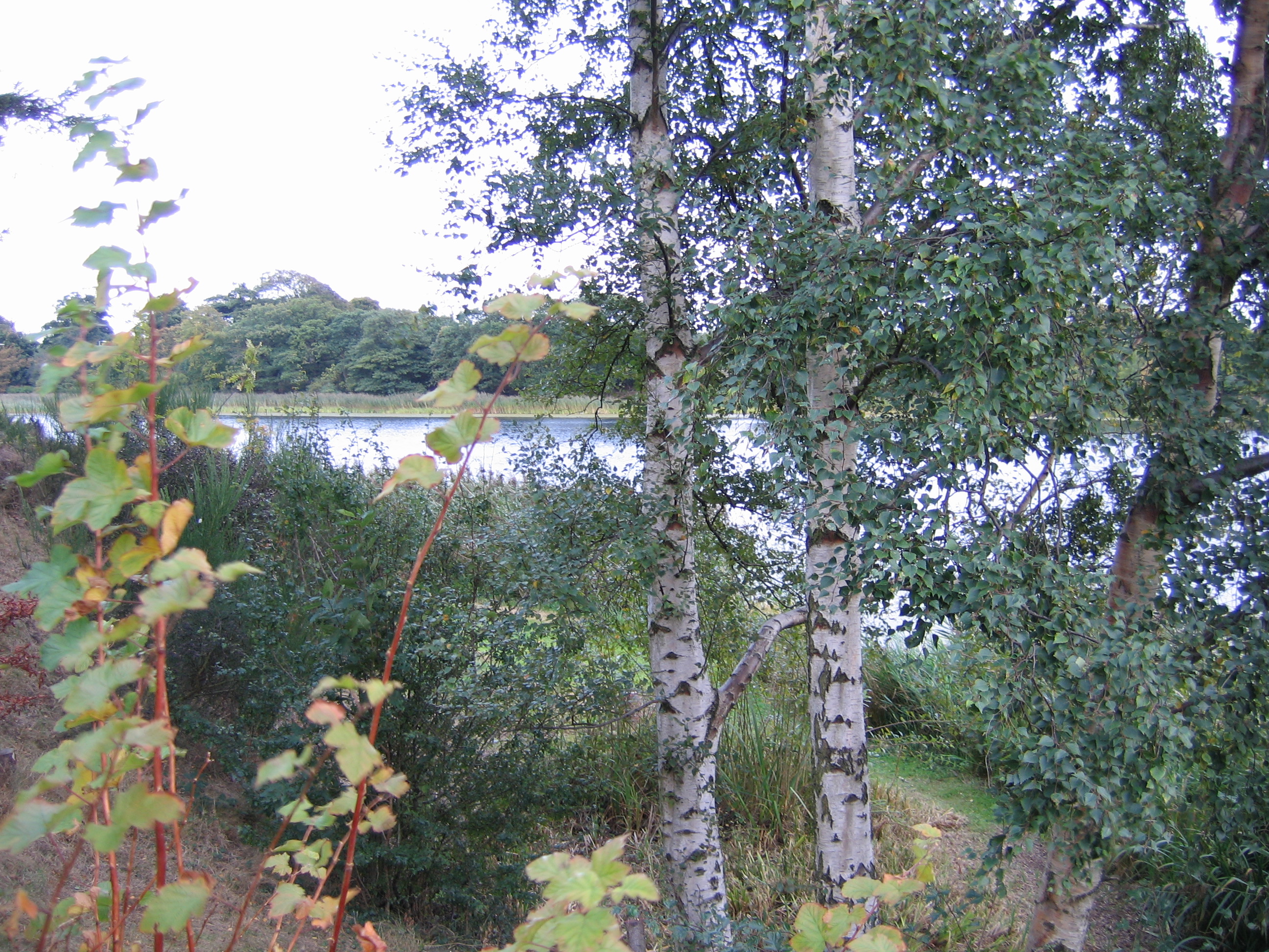 Europe Trip 2005 - Scotland Day 6 (Edinburgh: Duddingston Kirk (Whitfield Chapel), Duddingston Loch)