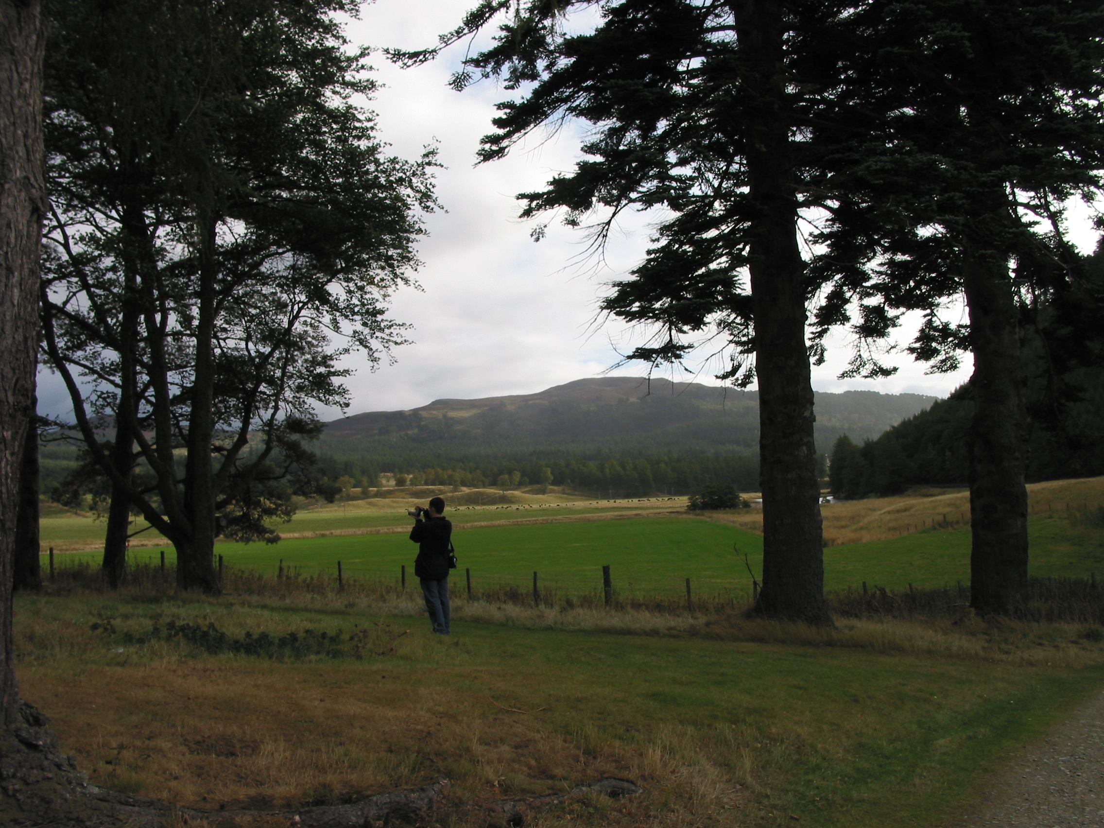 Europe Trip 2005 - Scotland Day 5 (Clunie Lodge (Braemar), Braemar Castle, Glenbuchat Castle, Scottish Highland Cows)