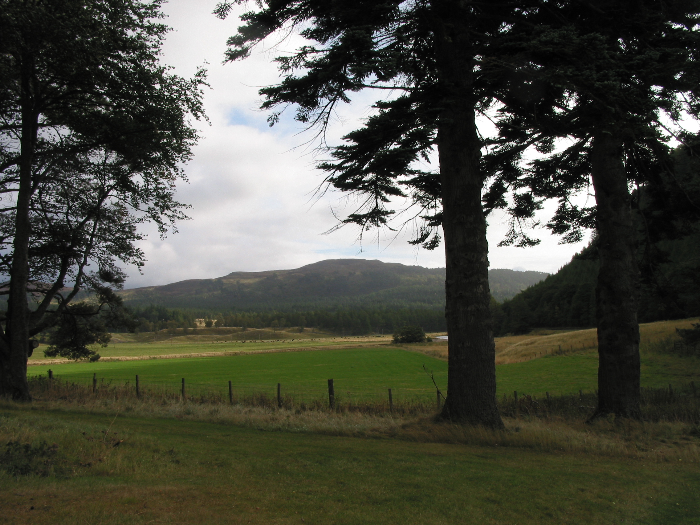 Europe Trip 2005 - Scotland Day 5 (Clunie Lodge (Braemar), Braemar Castle, Glenbuchat Castle, Scottish Highland Cows)