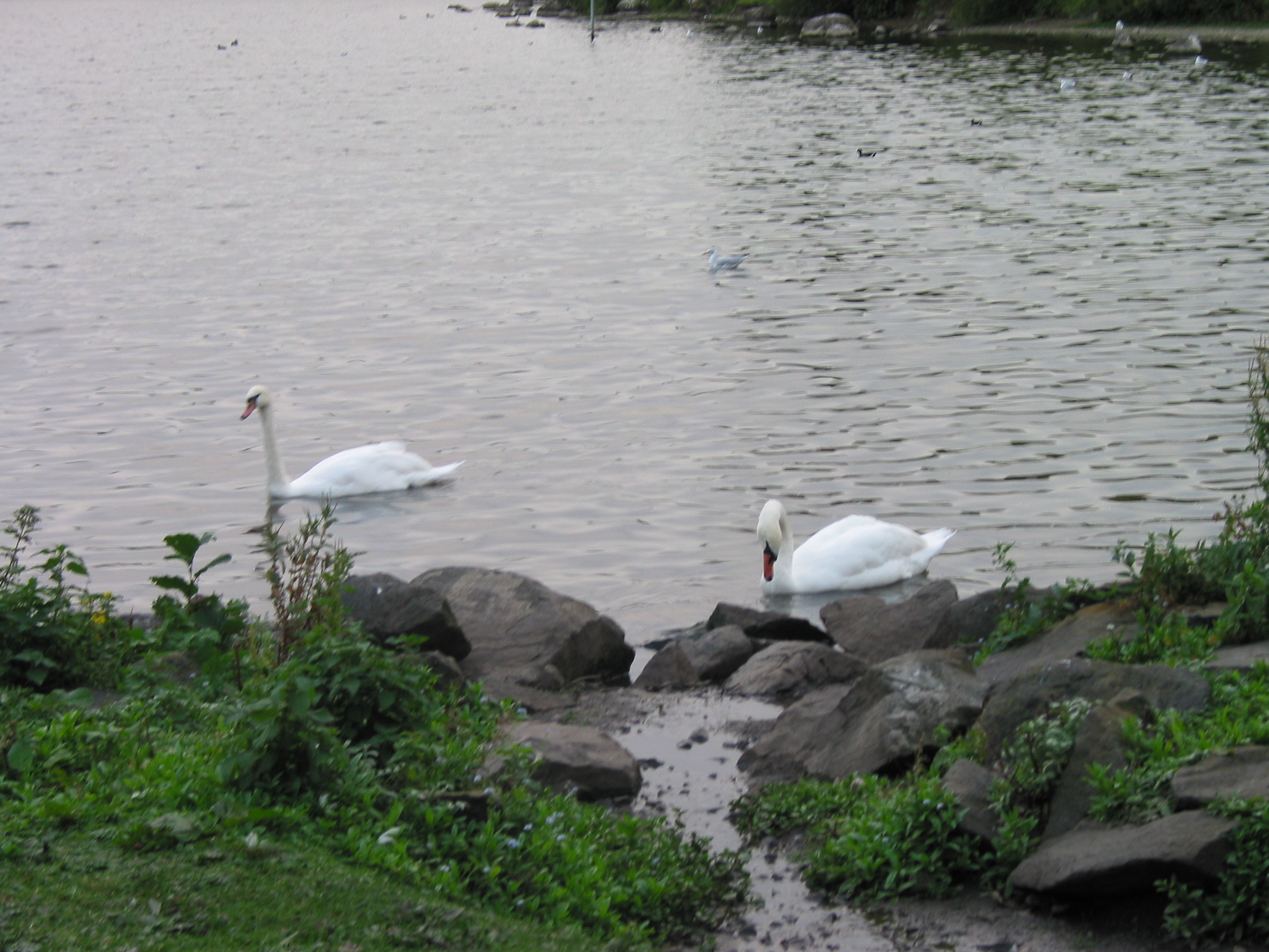 Europe Trip 2005 - Scotland Day 6 (Edinburgh: Duddingston Kirk (Whitfield Chapel), Duddingston Loch)