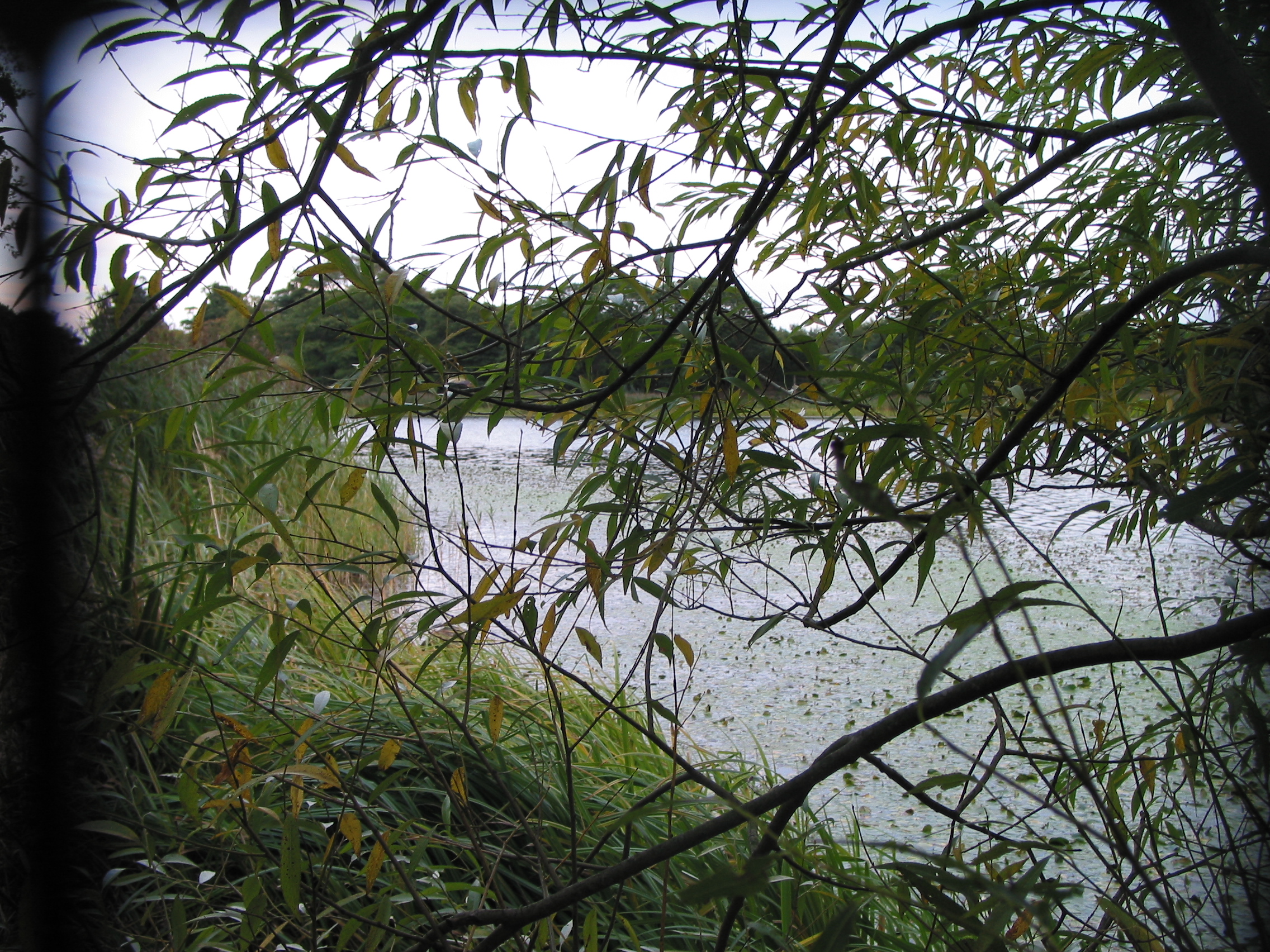 Europe Trip 2005 - Scotland Day 6 (Edinburgh: Duddingston Kirk (Whitfield Chapel), Duddingston Loch)