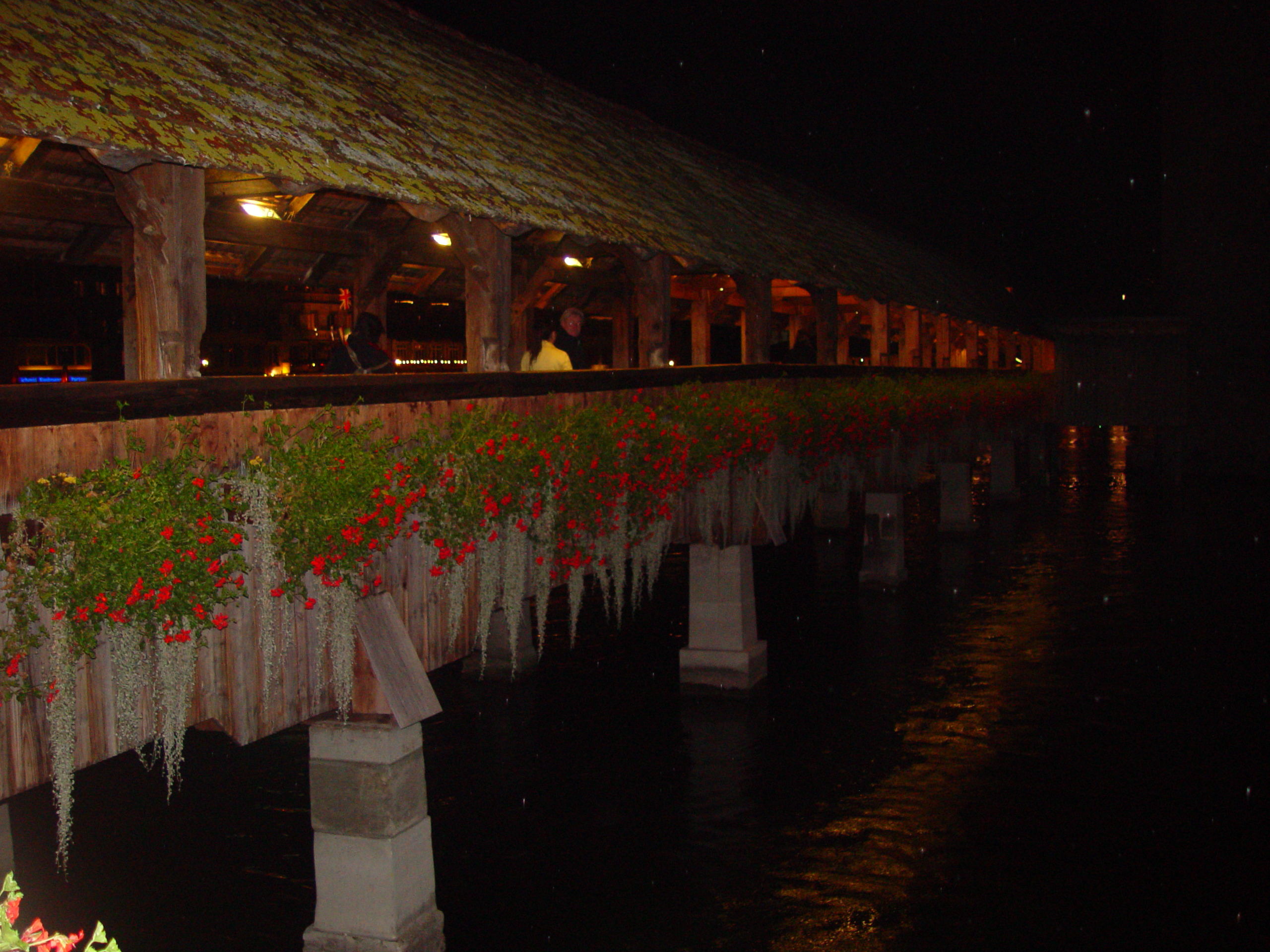 Europe Trip 2005 - Switzerland (Lucerne - View of The Alps, Wiener Schnitzel, Yodeling, Alphorns)