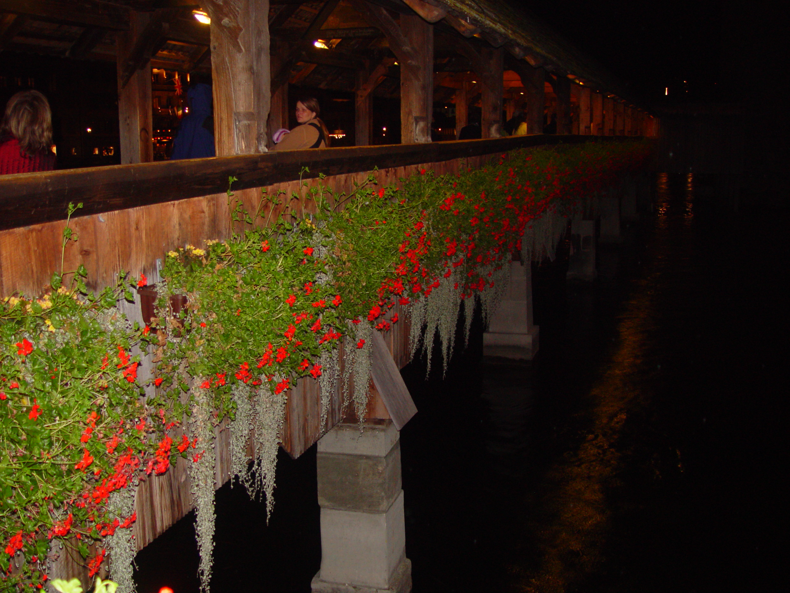 Europe Trip 2005 - Switzerland (Lucerne - View of The Alps, Wiener Schnitzel, Yodeling, Alphorns)