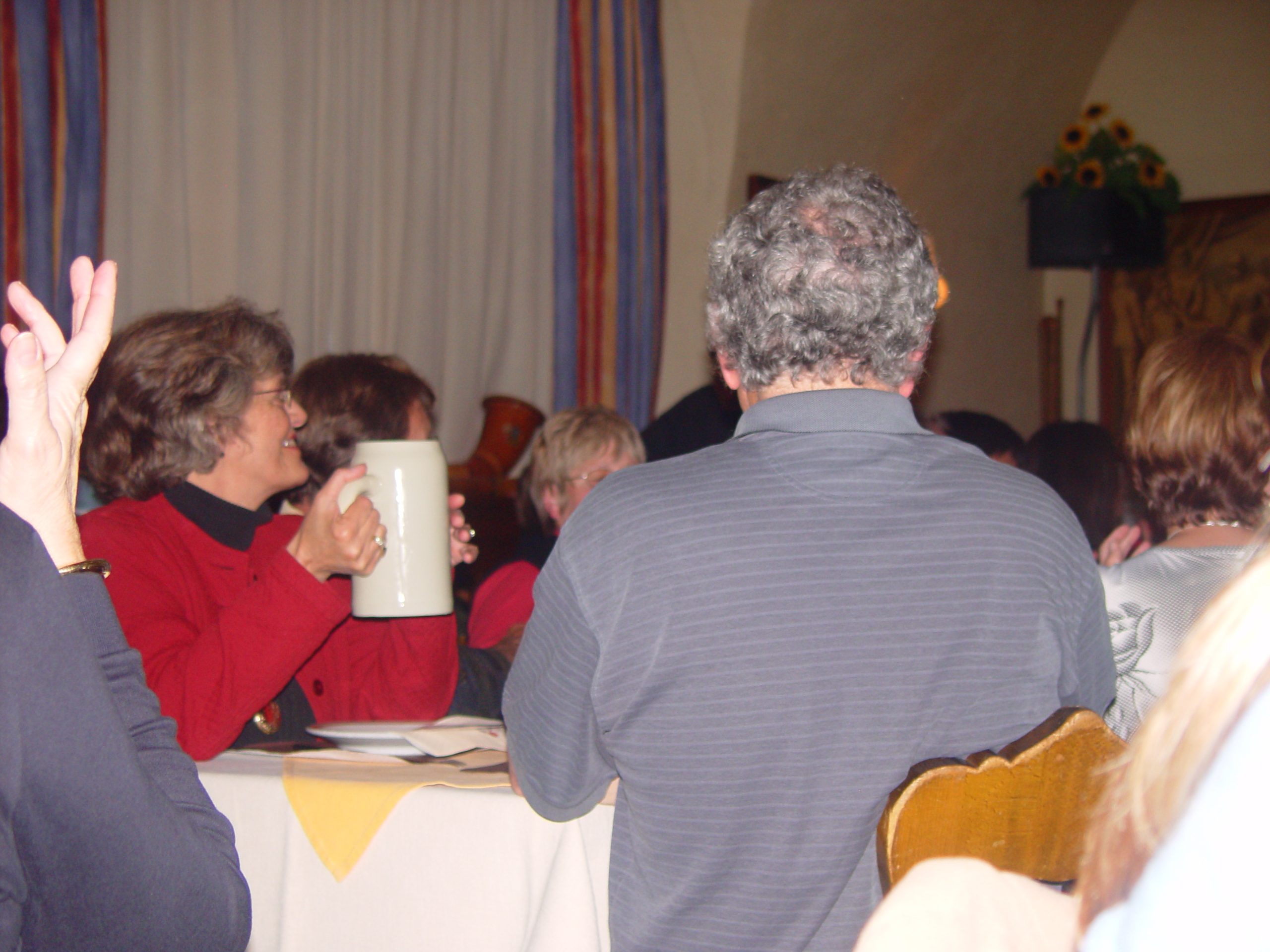 Europe Trip 2005 - Switzerland (Lucerne - View of The Alps, Wiener Schnitzel, Yodeling, Alphorns)