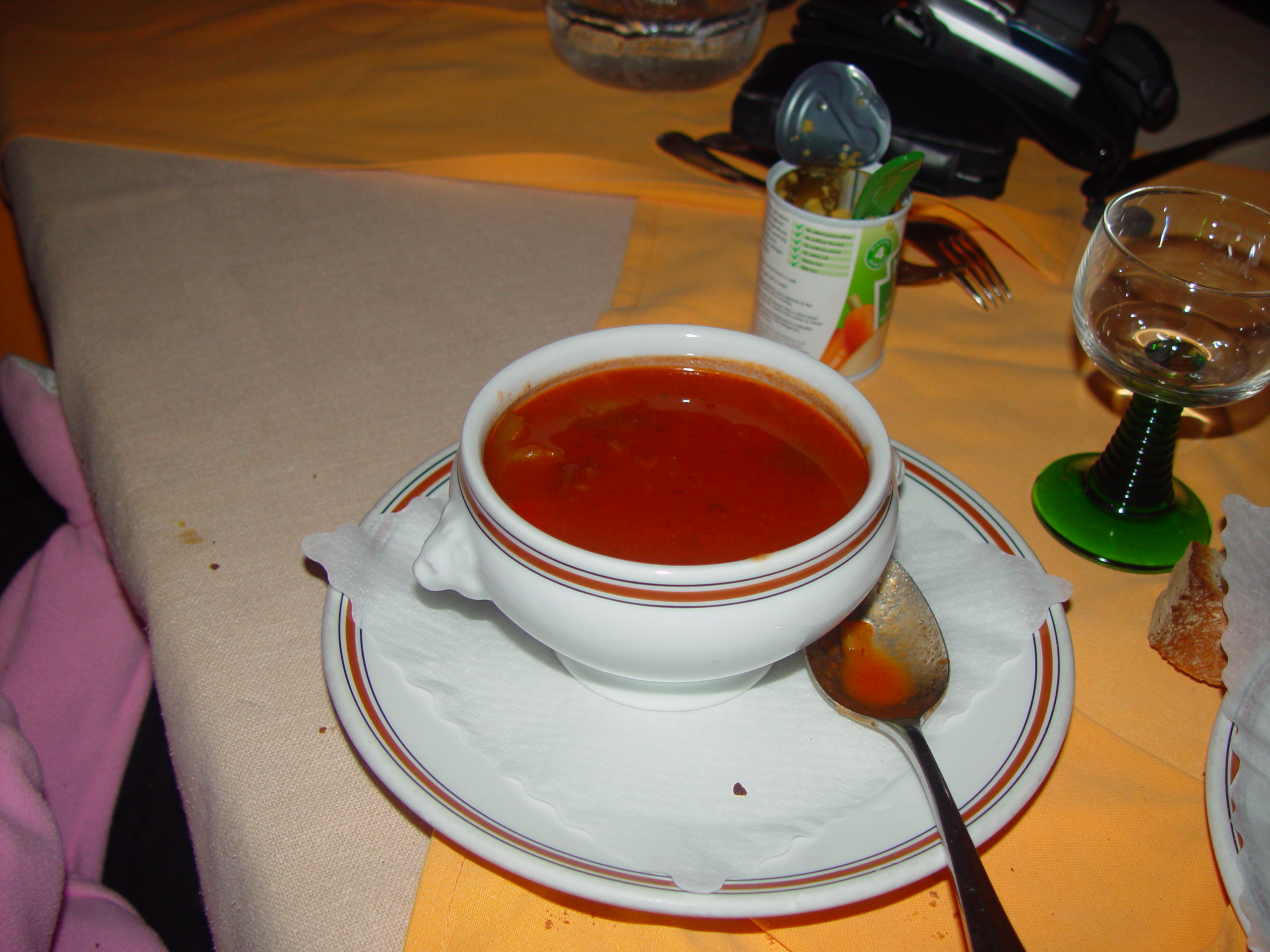 Europe Trip 2005 - Switzerland (Lucerne - View of The Alps, Wiener Schnitzel, Yodeling, Alphorns)