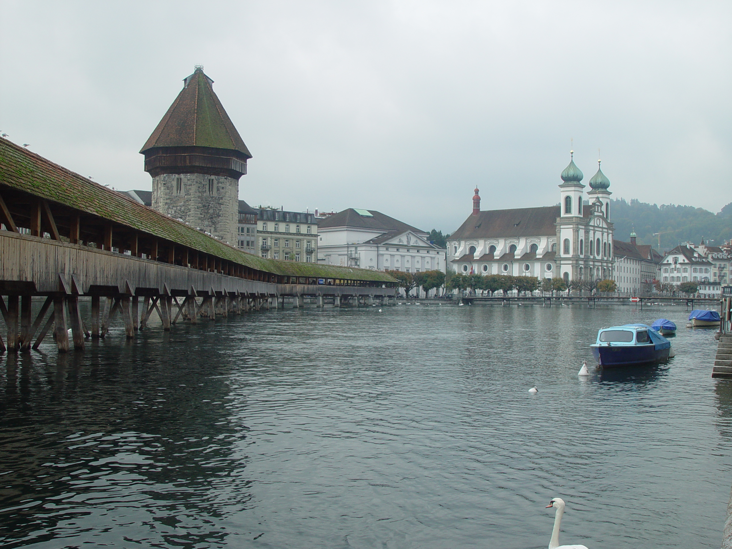 Europe Trip 2005 - Switzerland (Lucerne - The Chapel Bridge (Kapellbrucke) and Water Tower (Wasserturm), Feeding the Swans)