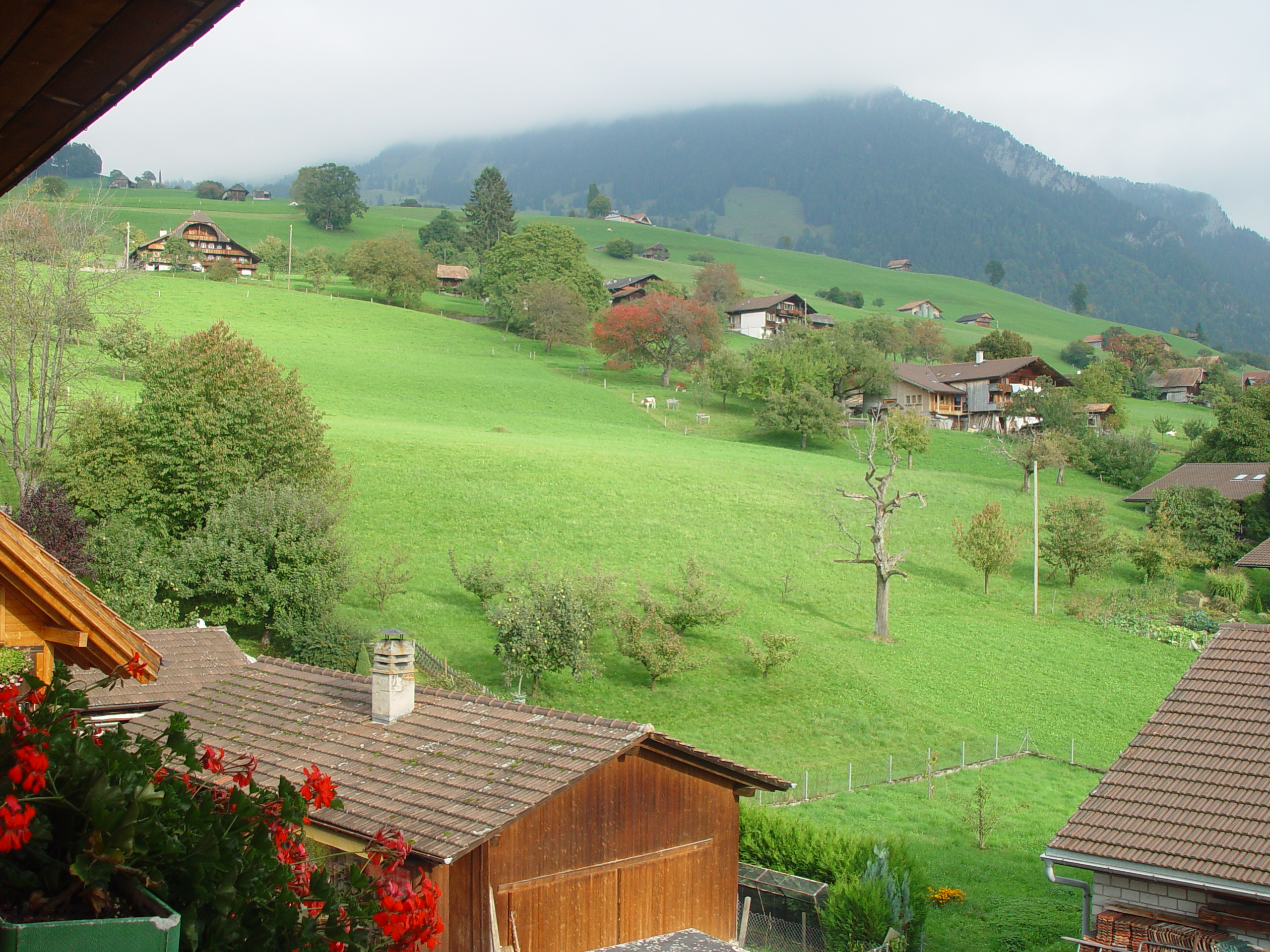 Europe Trip 2005 - Switzerland (Sigisvil - Lodge in the Alps, Swiss Cow Bells, Waterfall Hike, German Potato Salad, Spaetzle)