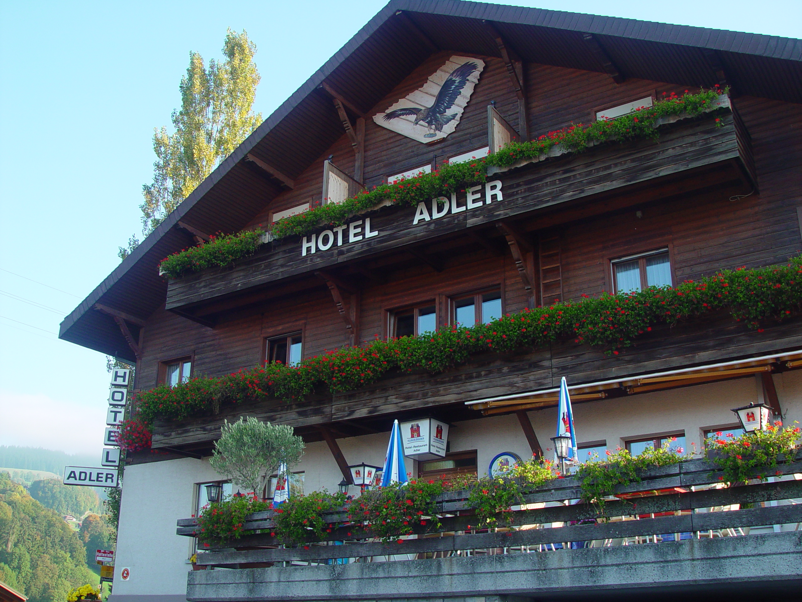 Europe Trip 2005 - Switzerland (Sigisvil - Lodge in the Alps, Swiss Cow Bells, Waterfall Hike, German Potato Salad, Spaetzle)
