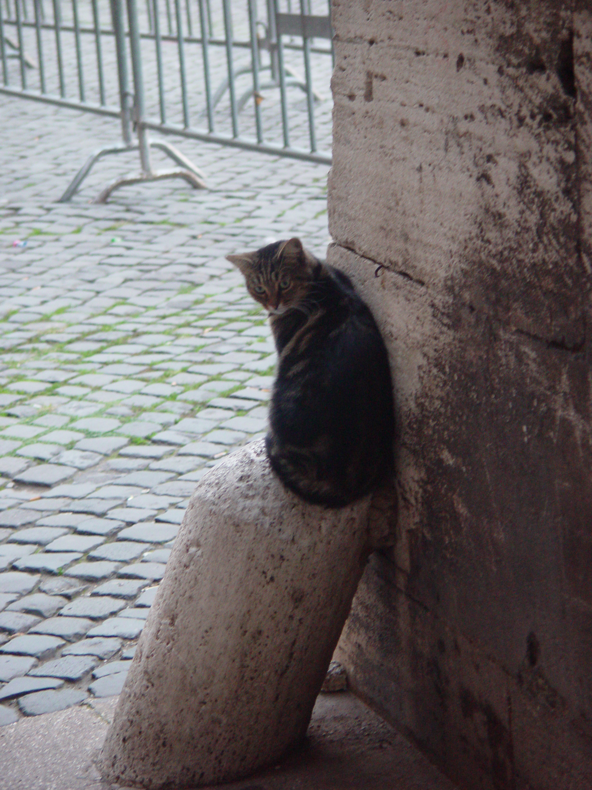 Europe Trip 2005 - Italy (Rome - Vatican (St Peter's Basilica, Sistine Chapel), Trevi Fountain, Spanish Steps, Colosseum)