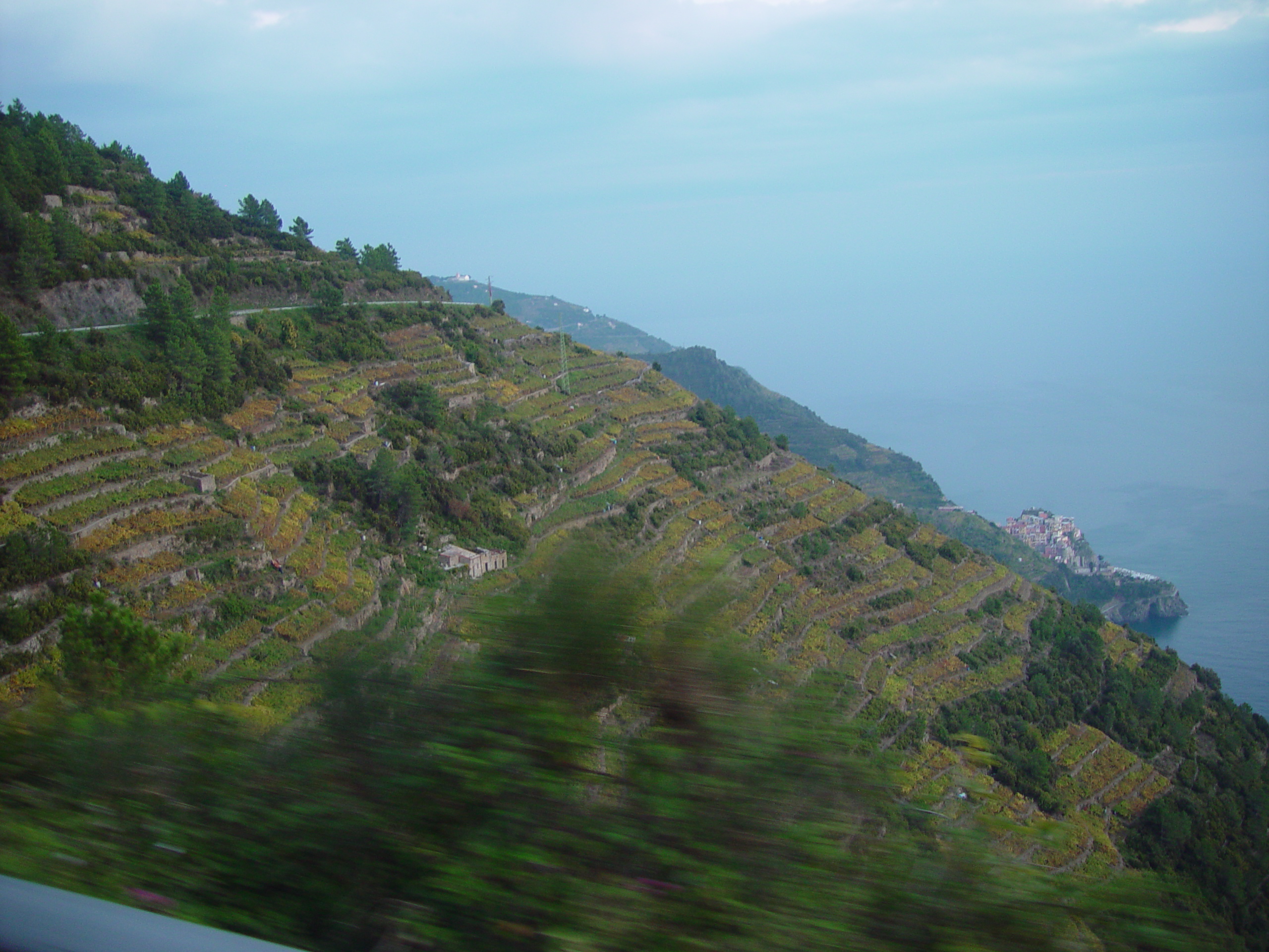 Europe Trip 2005 - Italy (Downtown Pistoia, Lo Storno Restaurant, Italian Riviera - The Cinque Terre - Vernazza)
