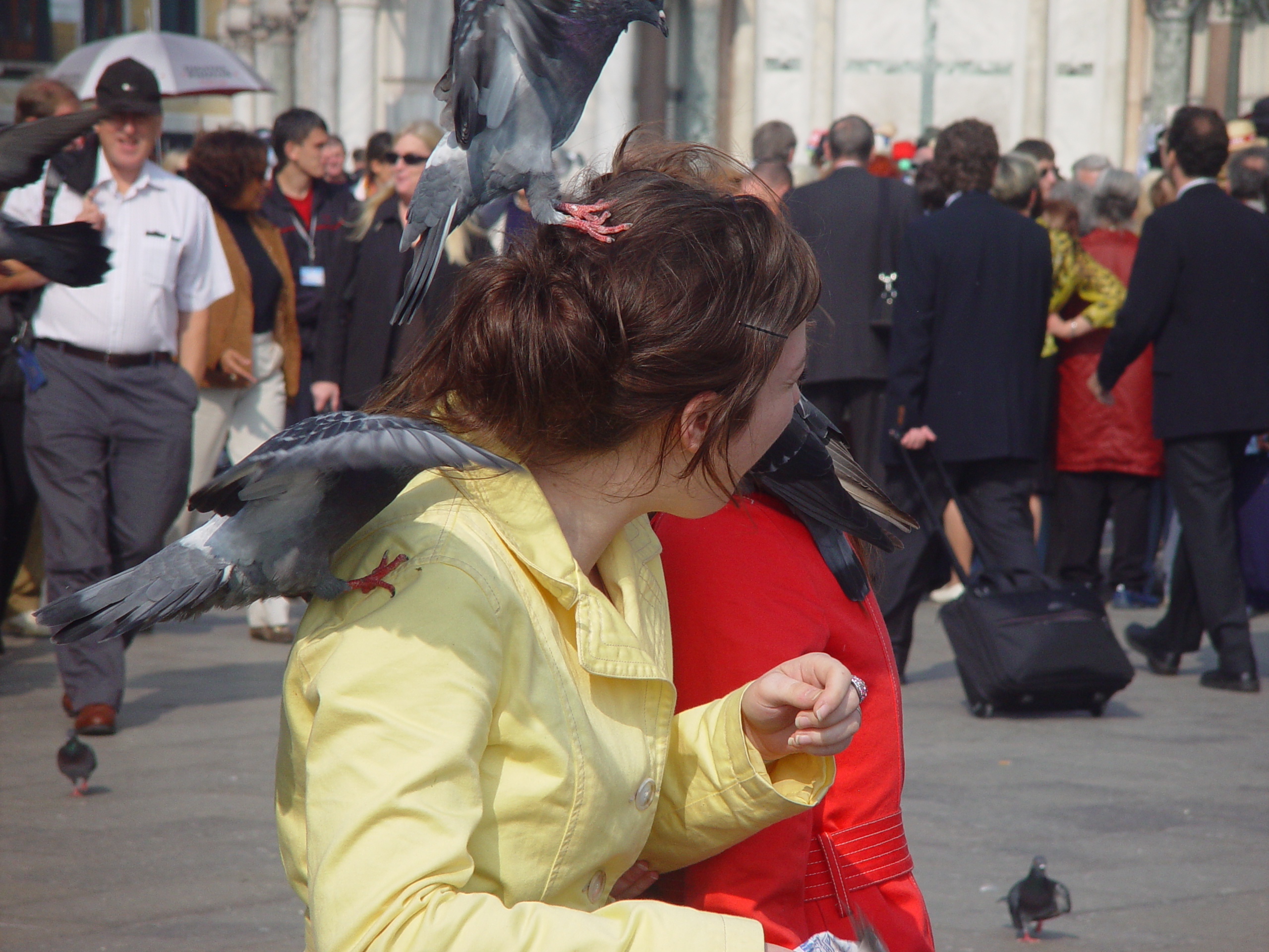Europe Trip 2005 - Italy (Venice - Pigeons, St Mark's Basilica / Square / Clocktower, Gondola Ride, Gelato)