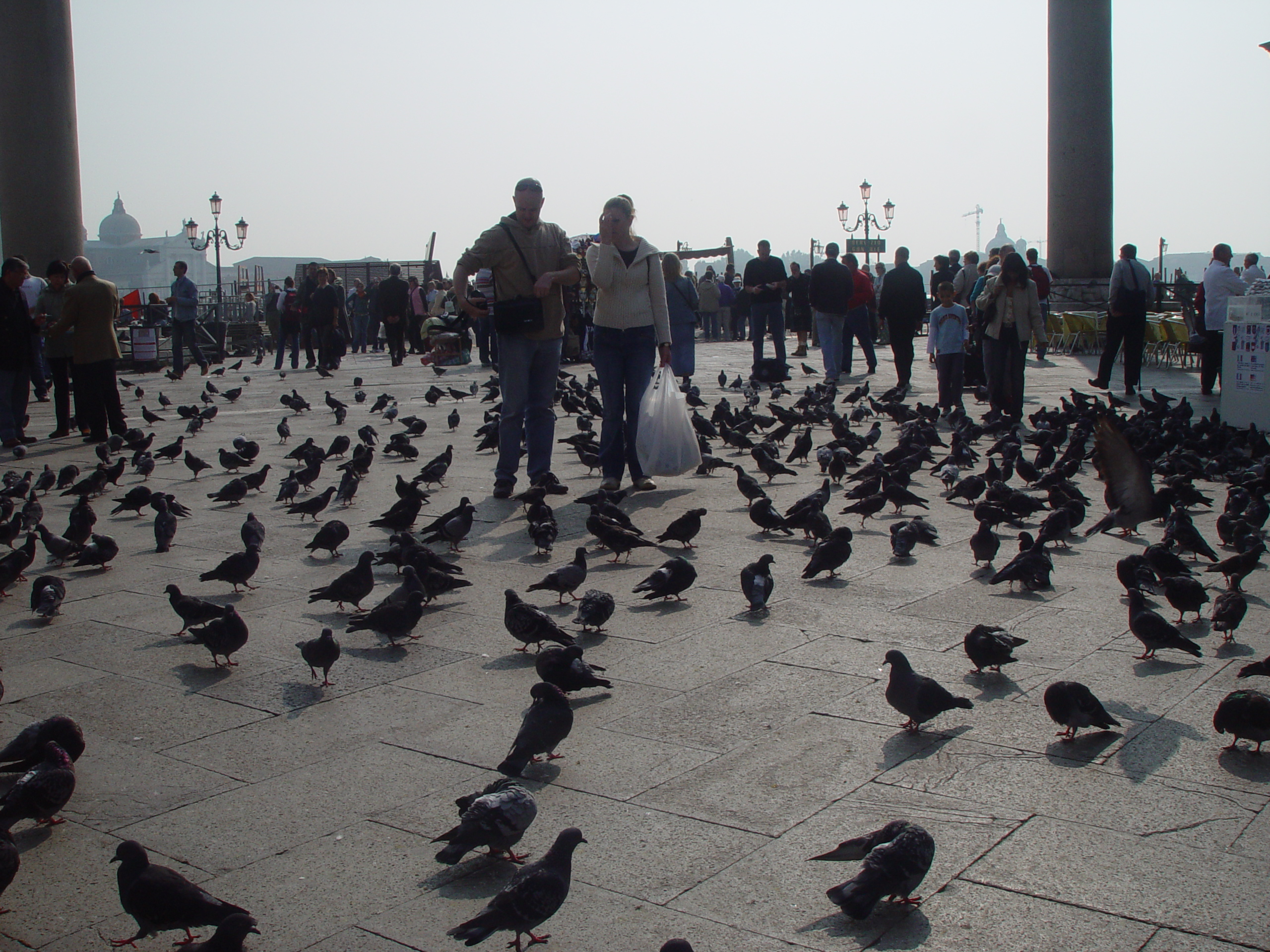 Europe Trip 2005 - Italy (Venice - Pigeons, St Mark's Basilica / Square / Clocktower, Gondola Ride, Gelato)