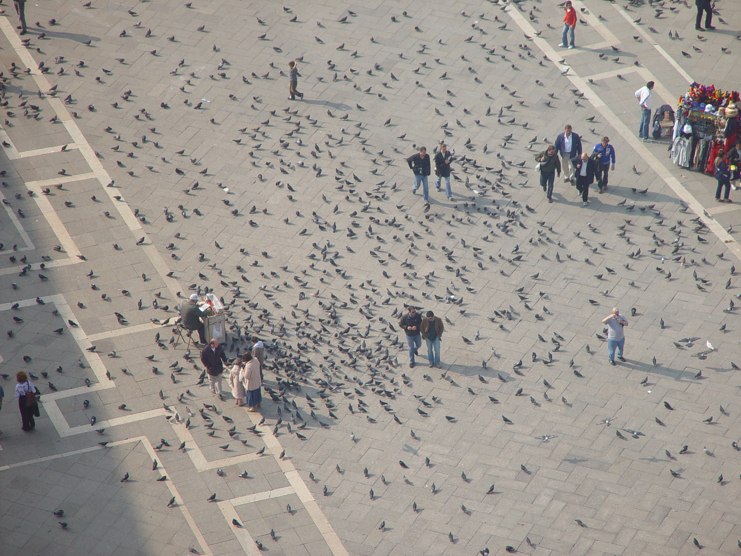 Europe Trip 2005 - Italy (Venice - Pigeons, St Mark's Basilica / Square / Clocktower, Gondola Ride, Gelato)