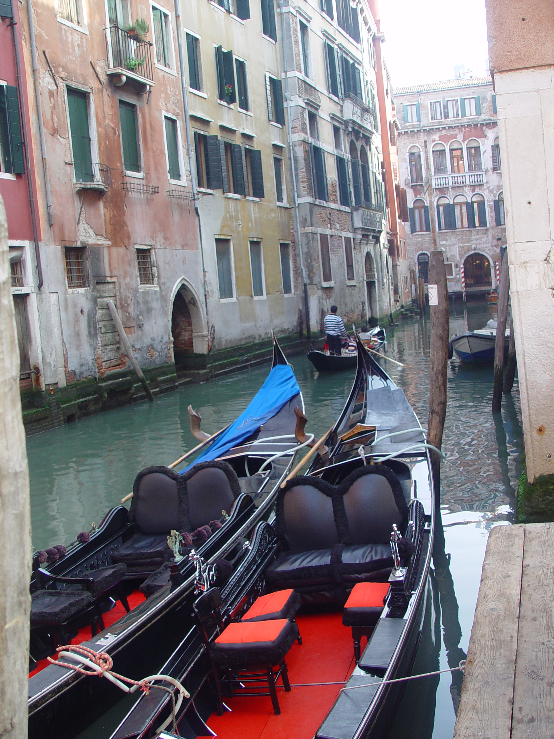 Europe Trip 2005 - Italy (Venice - Pigeons, St Mark's Basilica / Square / Clocktower, Gondola Ride, Gelato)
