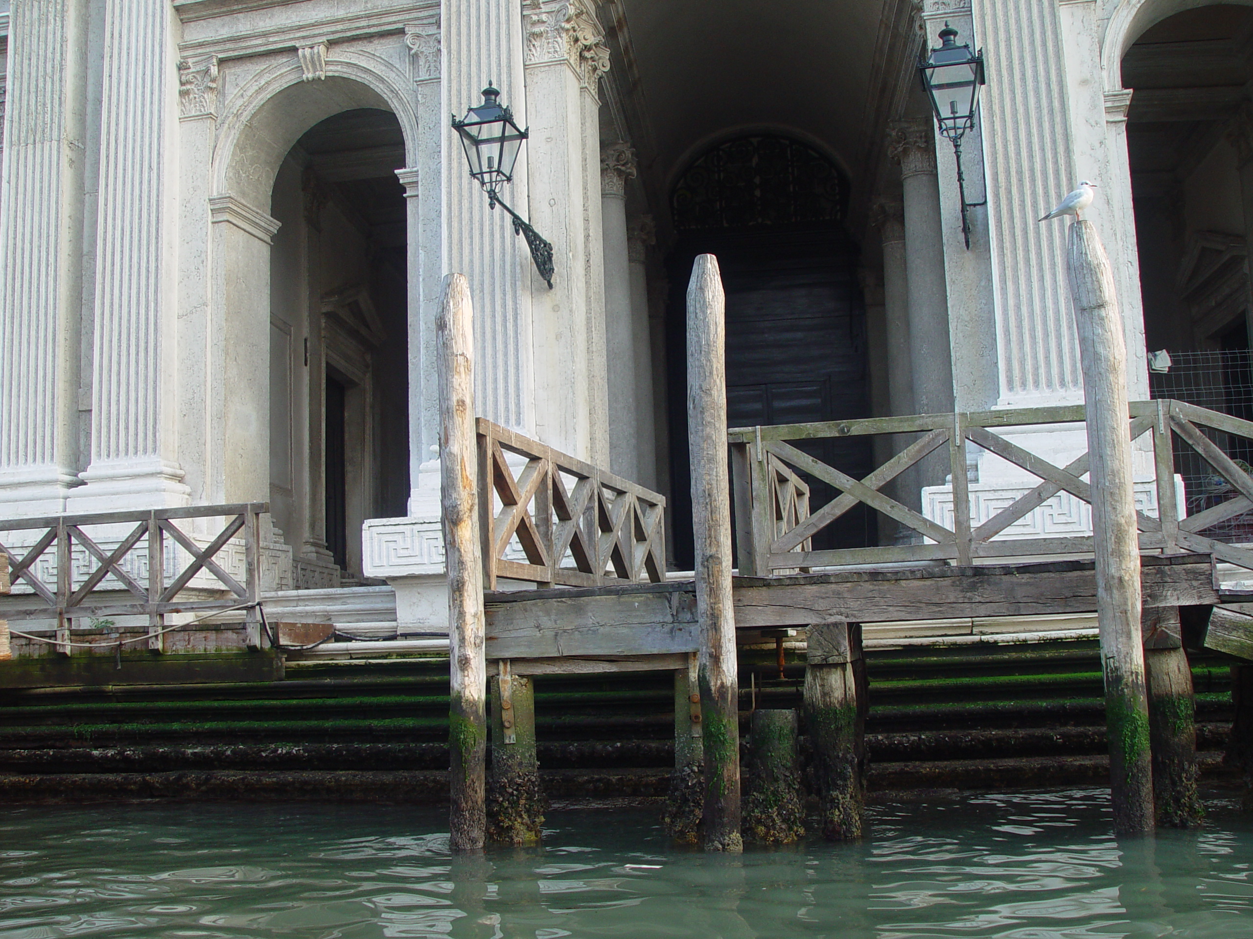 Europe Trip 2005 - Italy (Venice - Pigeons, St Mark's Basilica / Square / Clocktower, Gondola Ride, Gelato)