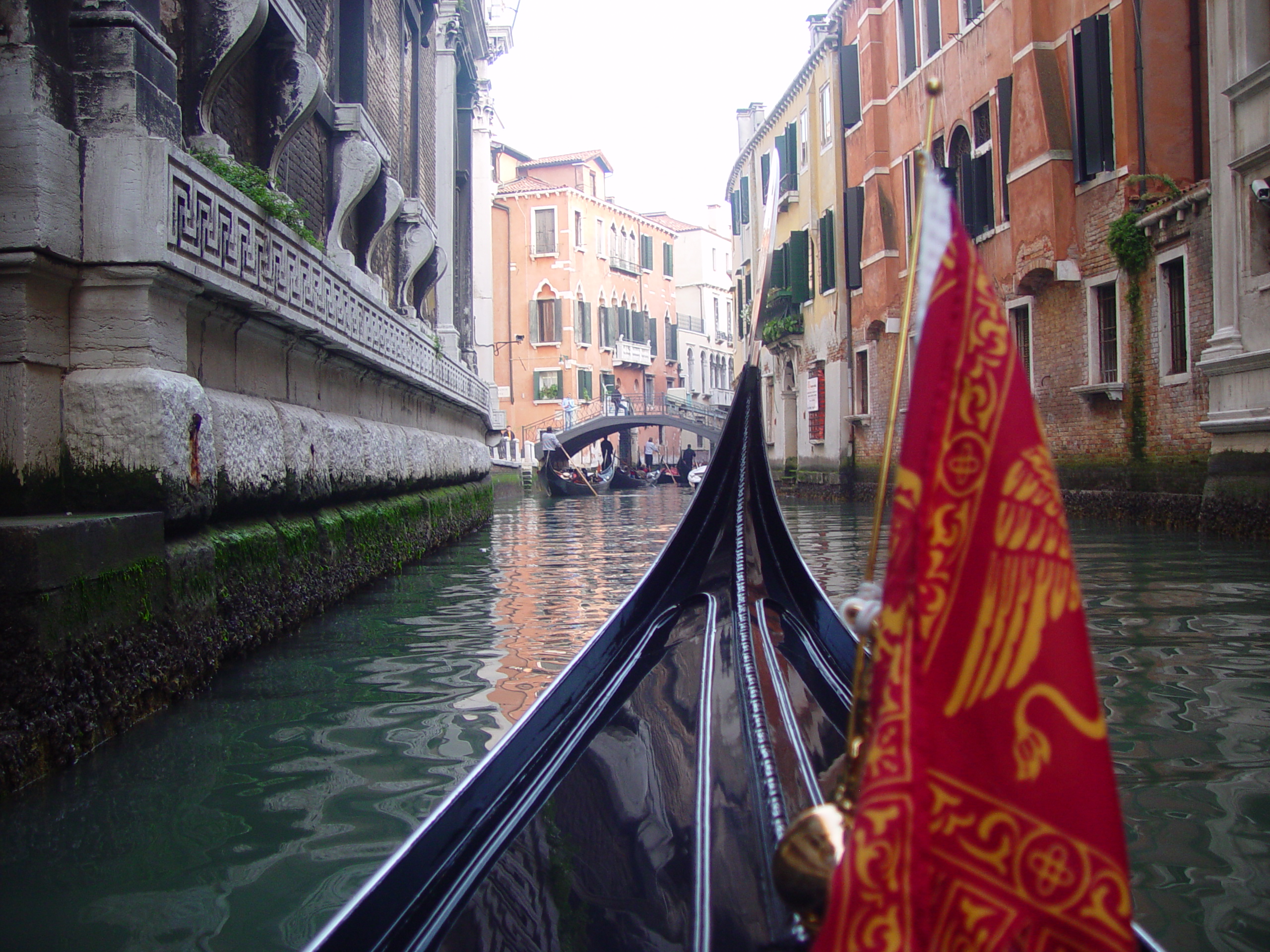 Europe Trip 2005 - Italy (Venice - Pigeons, St Mark's Basilica / Square / Clocktower, Gondola Ride, Gelato)