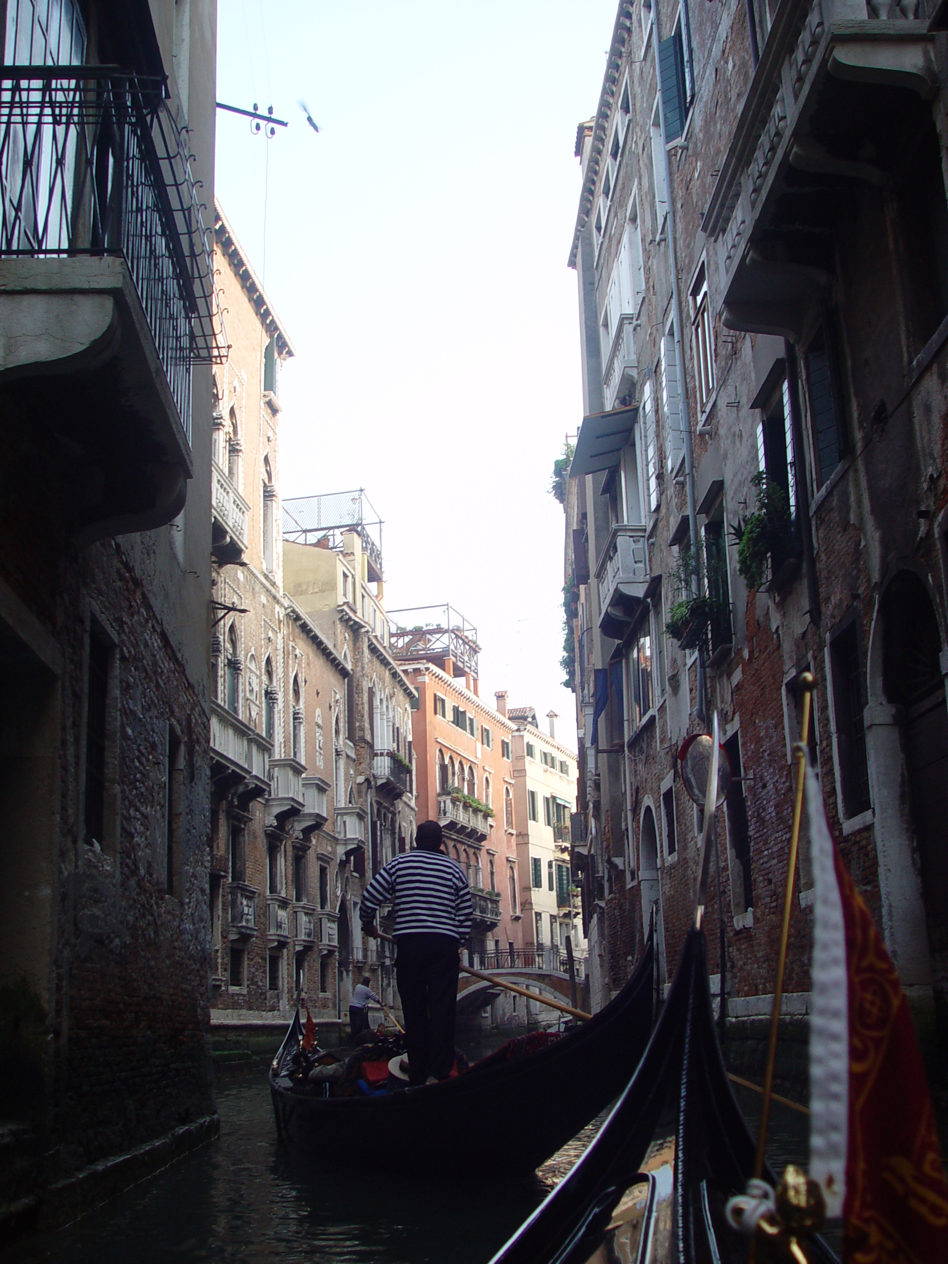 Europe Trip 2005 - Italy (Venice - Pigeons, St Mark's Basilica / Square / Clocktower, Gondola Ride, Gelato)