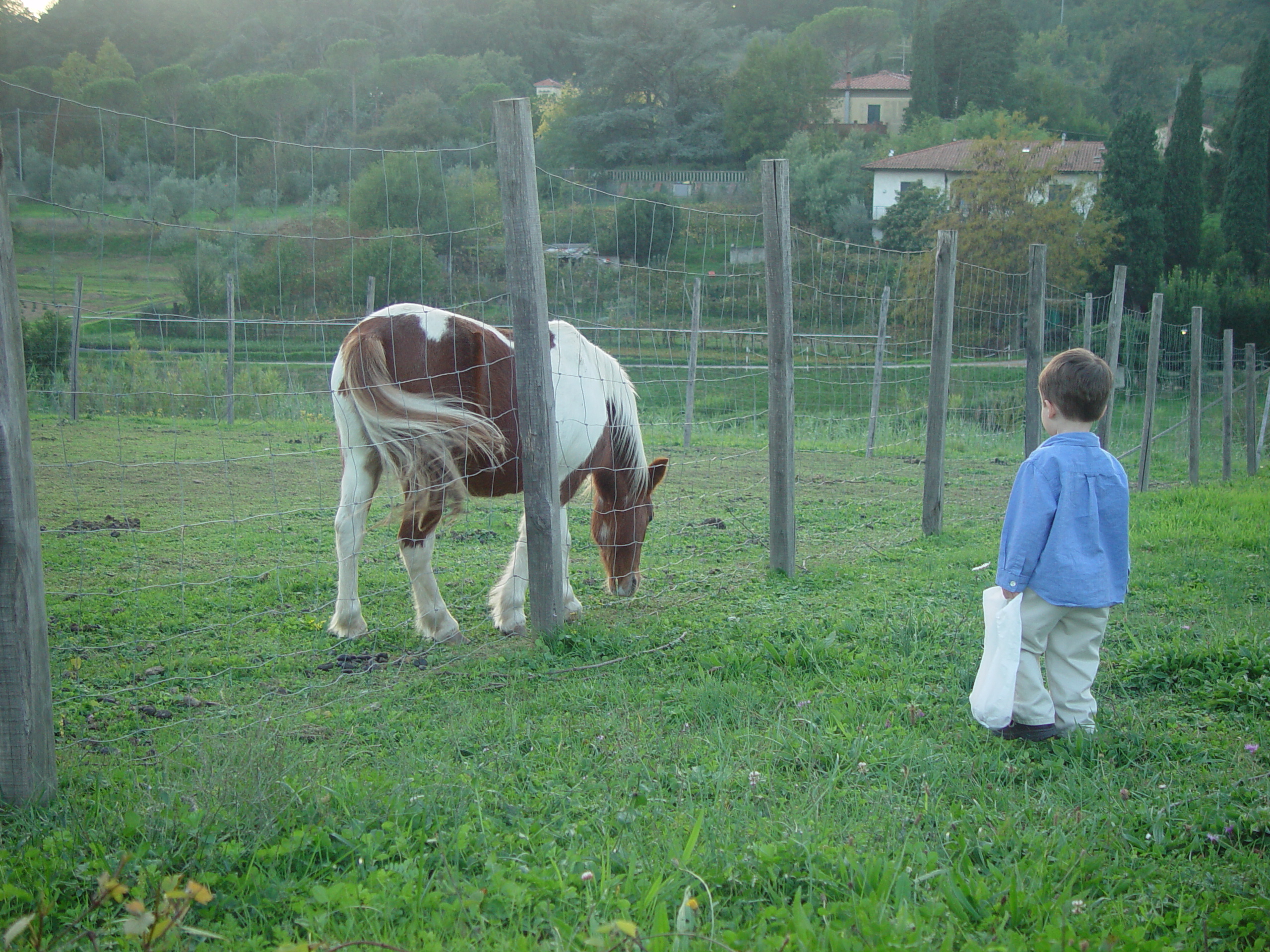 Europe Trip 2005 - Italy (Pistoia - Church @ Pistoia Branch, Villa de Fiori, Zack & Ava's Early Birthday Party, Rootbeer?)