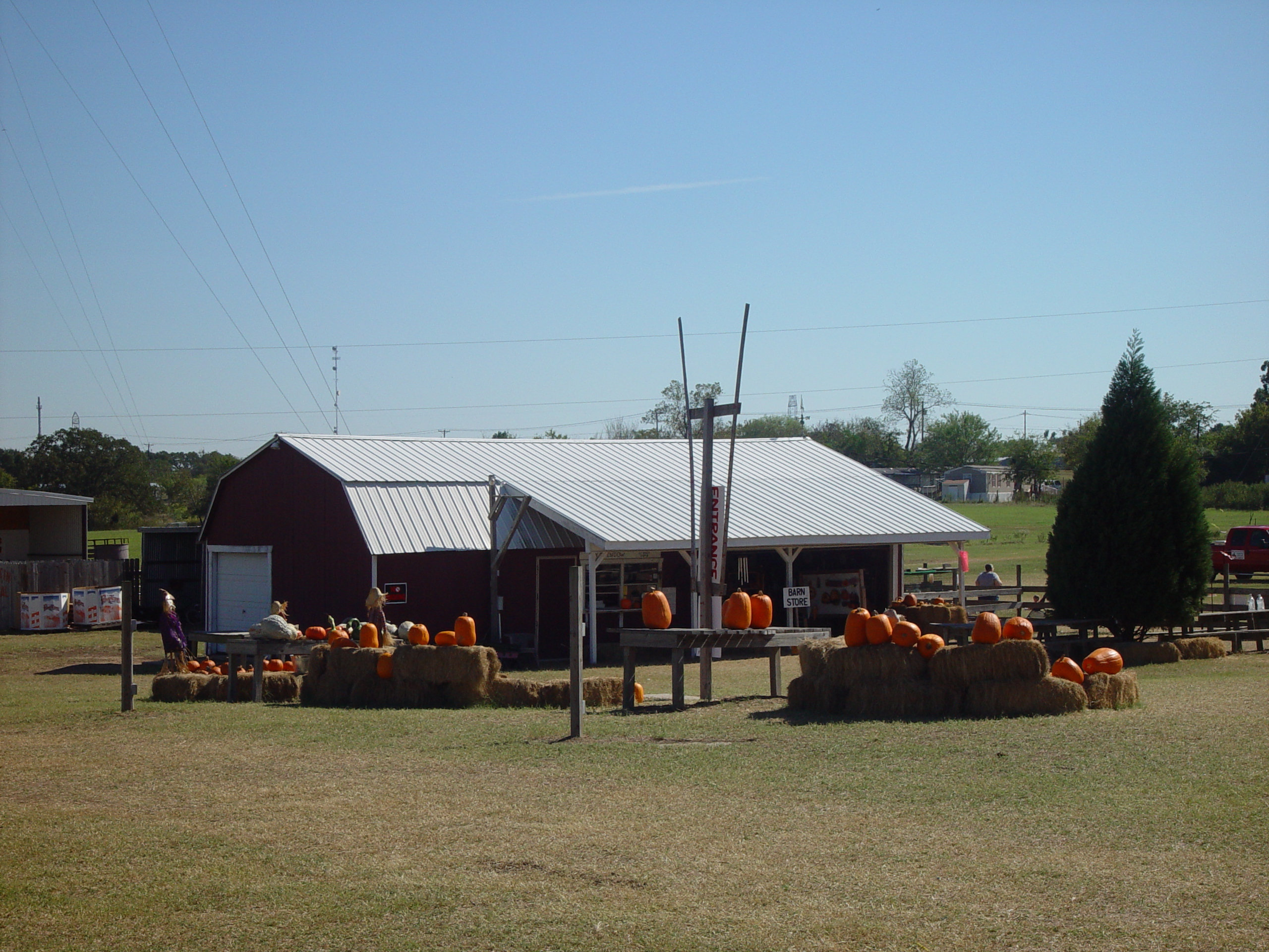 Halloween 2005 (Pumpkin Patch, Corn Maze, Carving Pumpkins, IBM. Halloween Party)