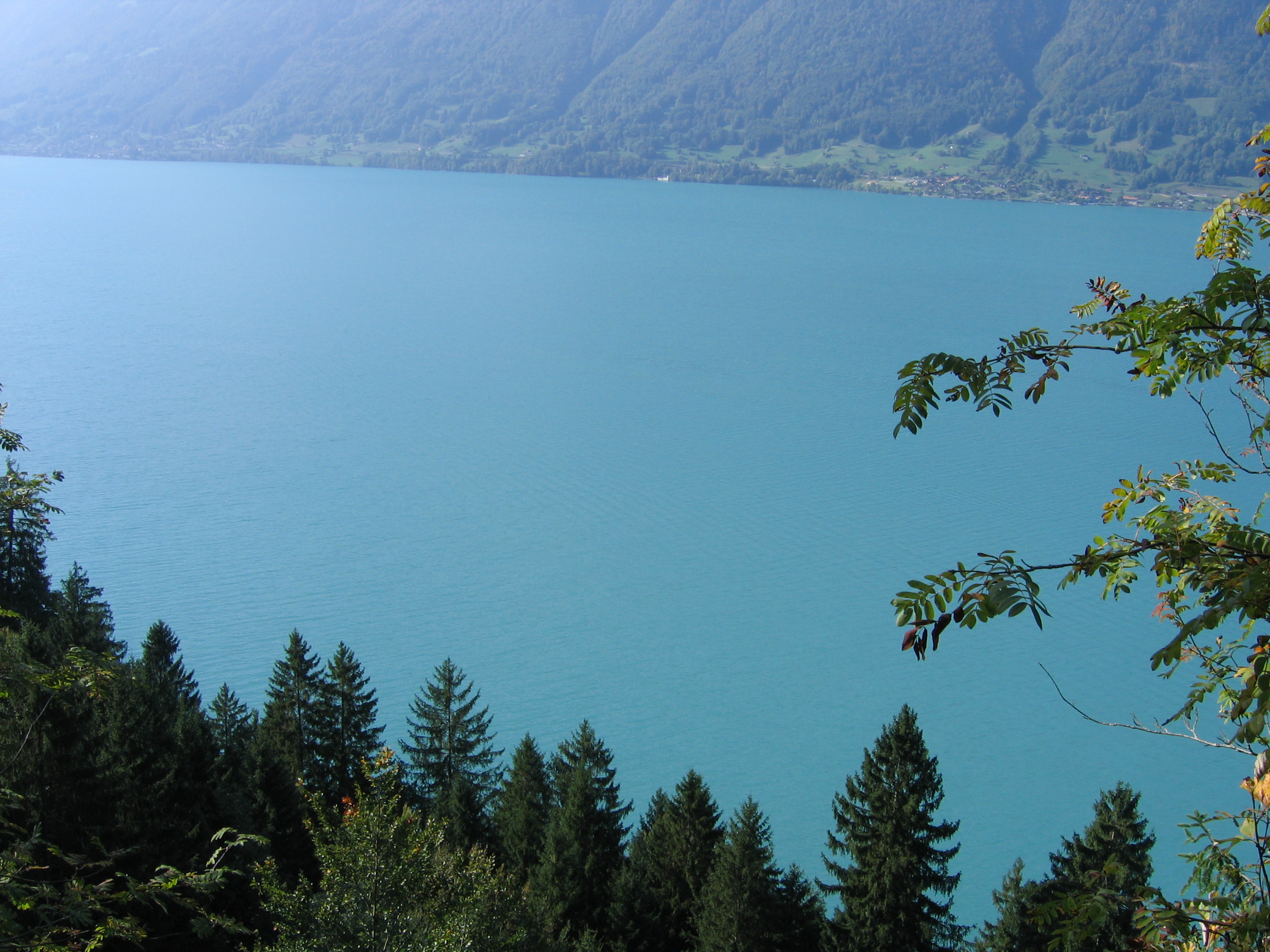 Europe Trip 2005 - Switzerland (Driving into the Alps)