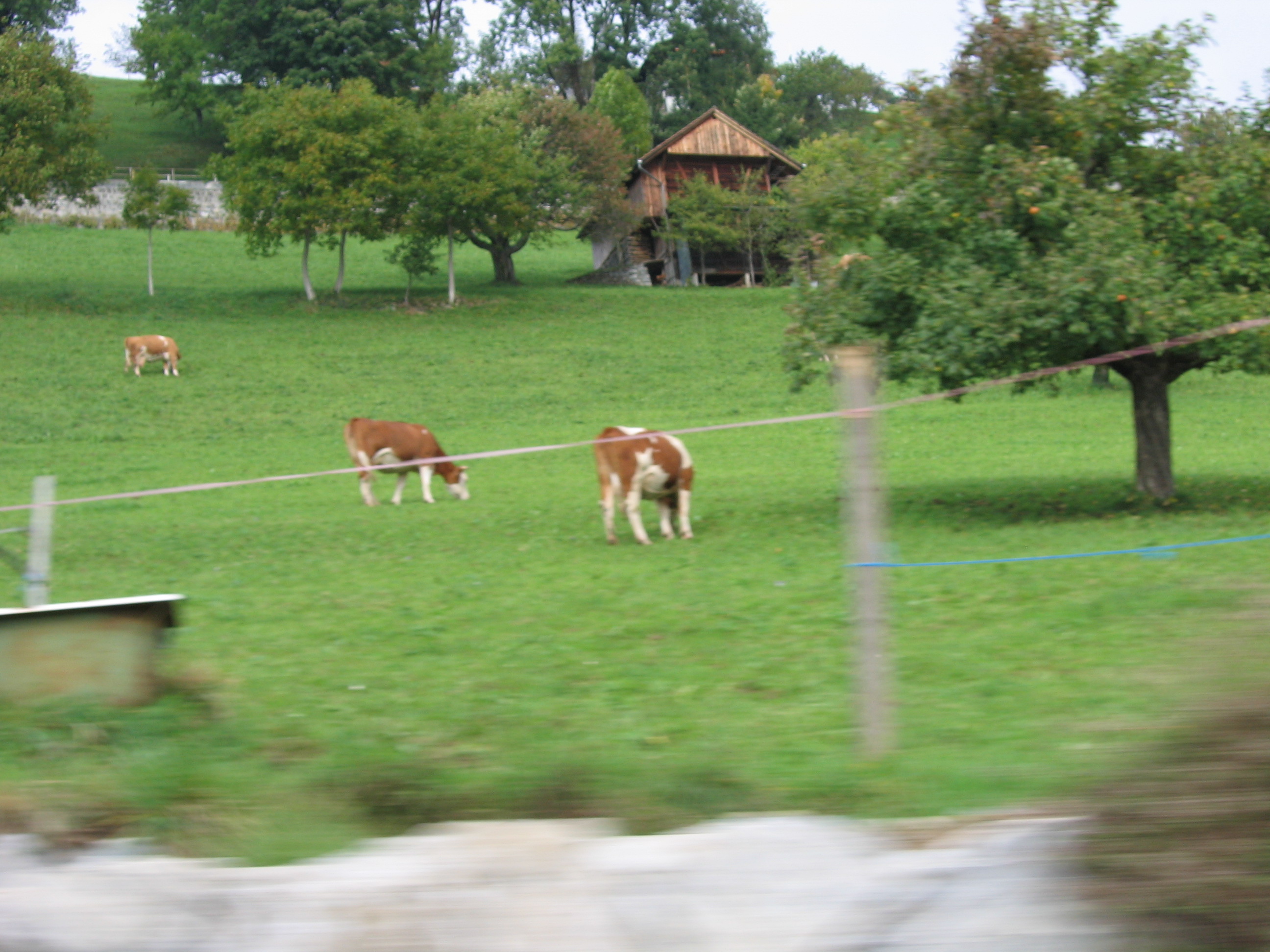 Europe Trip 2005 - Switzerland (Sigisvil - Lodge in the Alps, Swiss Cow Bells, Waterfall Hike, German Potato Salad, Spaetzle)