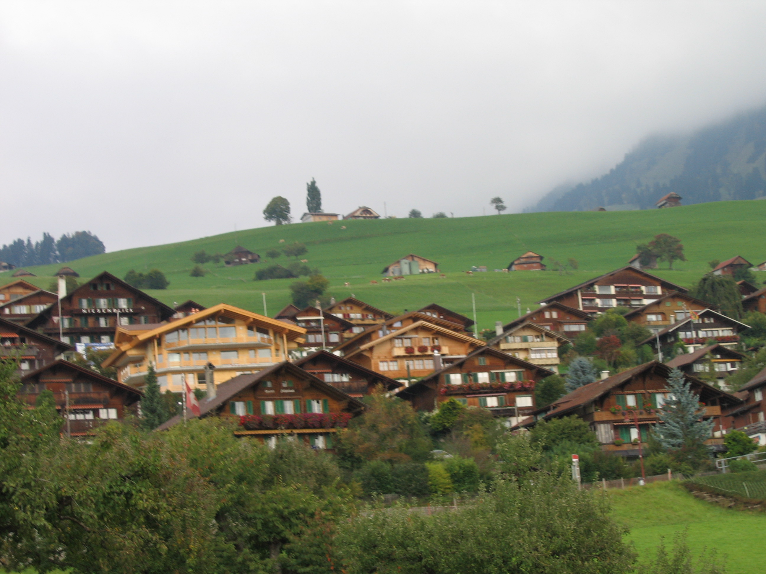 Europe Trip 2005 - Switzerland (Sigisvil - Lodge in the Alps, Swiss Cow Bells, Waterfall Hike, German Potato Salad, Spaetzle)
