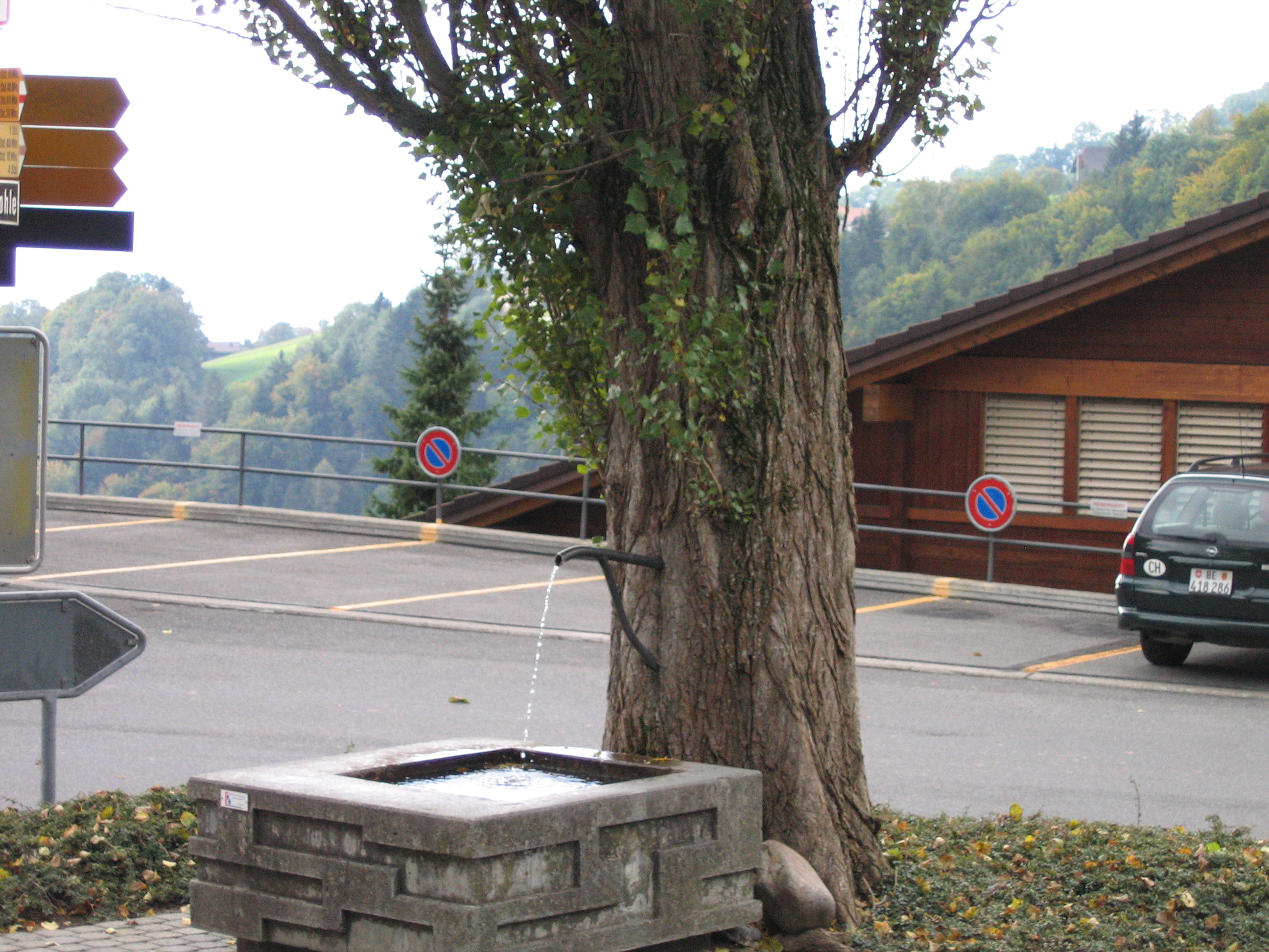 Europe Trip 2005 - Switzerland (Sigisvil - Lodge in the Alps, Swiss Cow Bells, Waterfall Hike, German Potato Salad, Spaetzle)